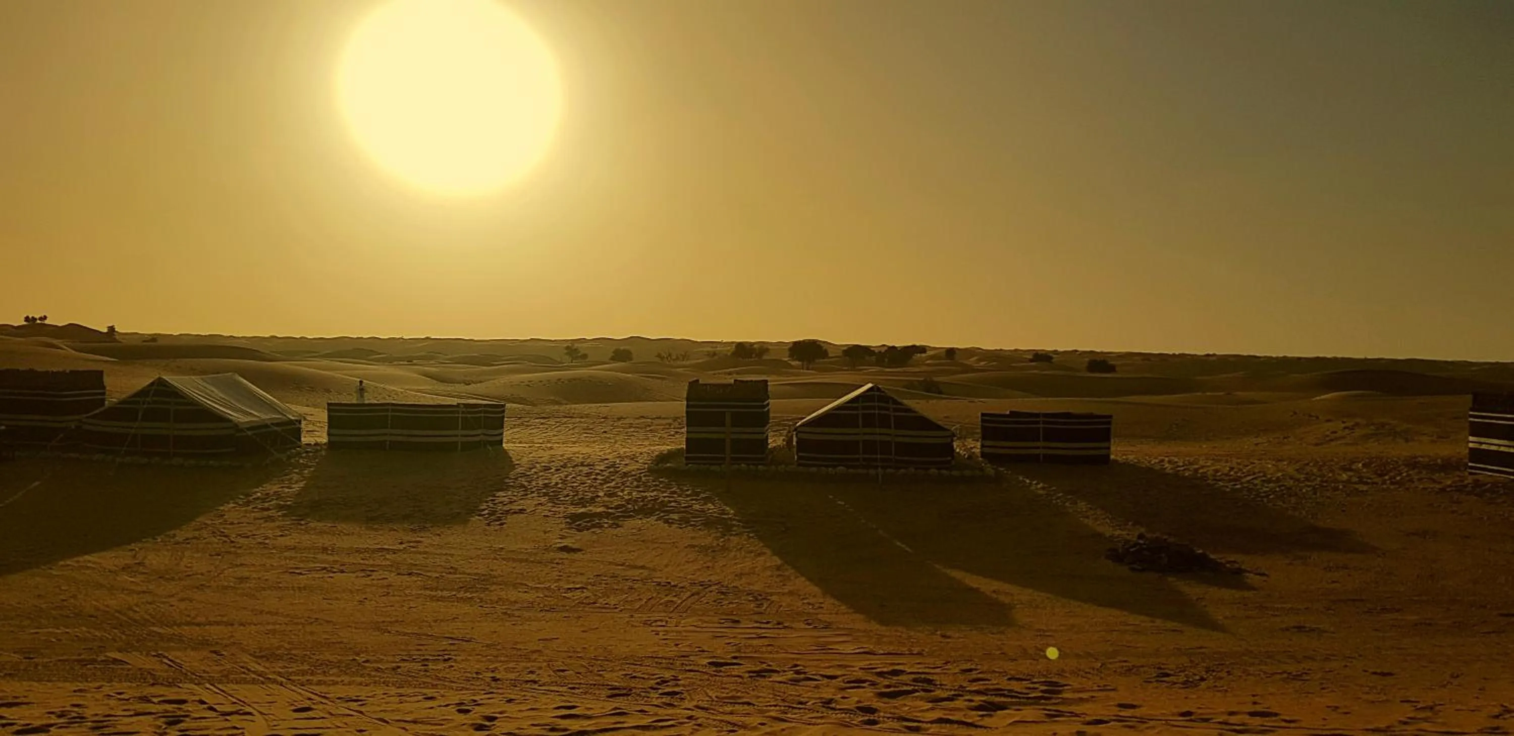 Area and facilities in Queen Desert camp