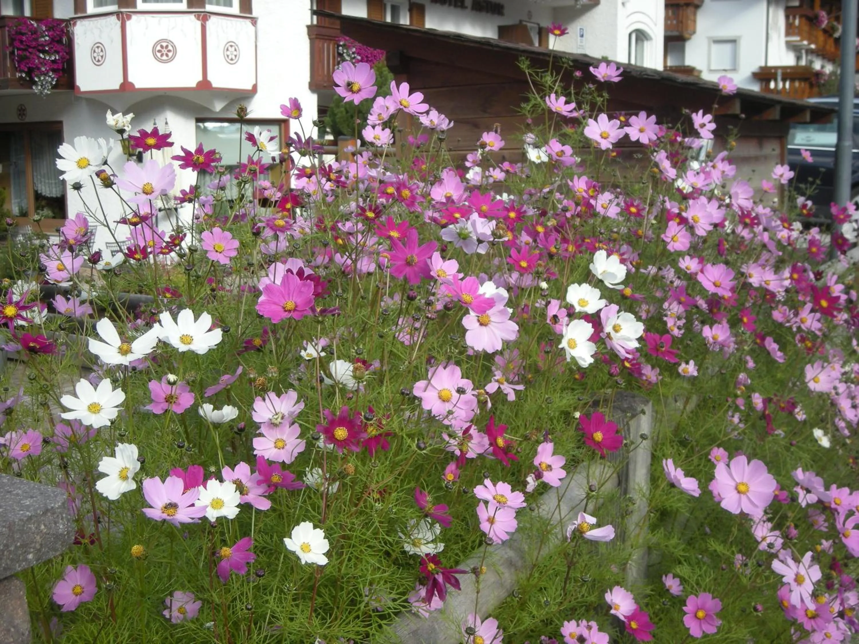 Garden in Garni Hotel Rezia