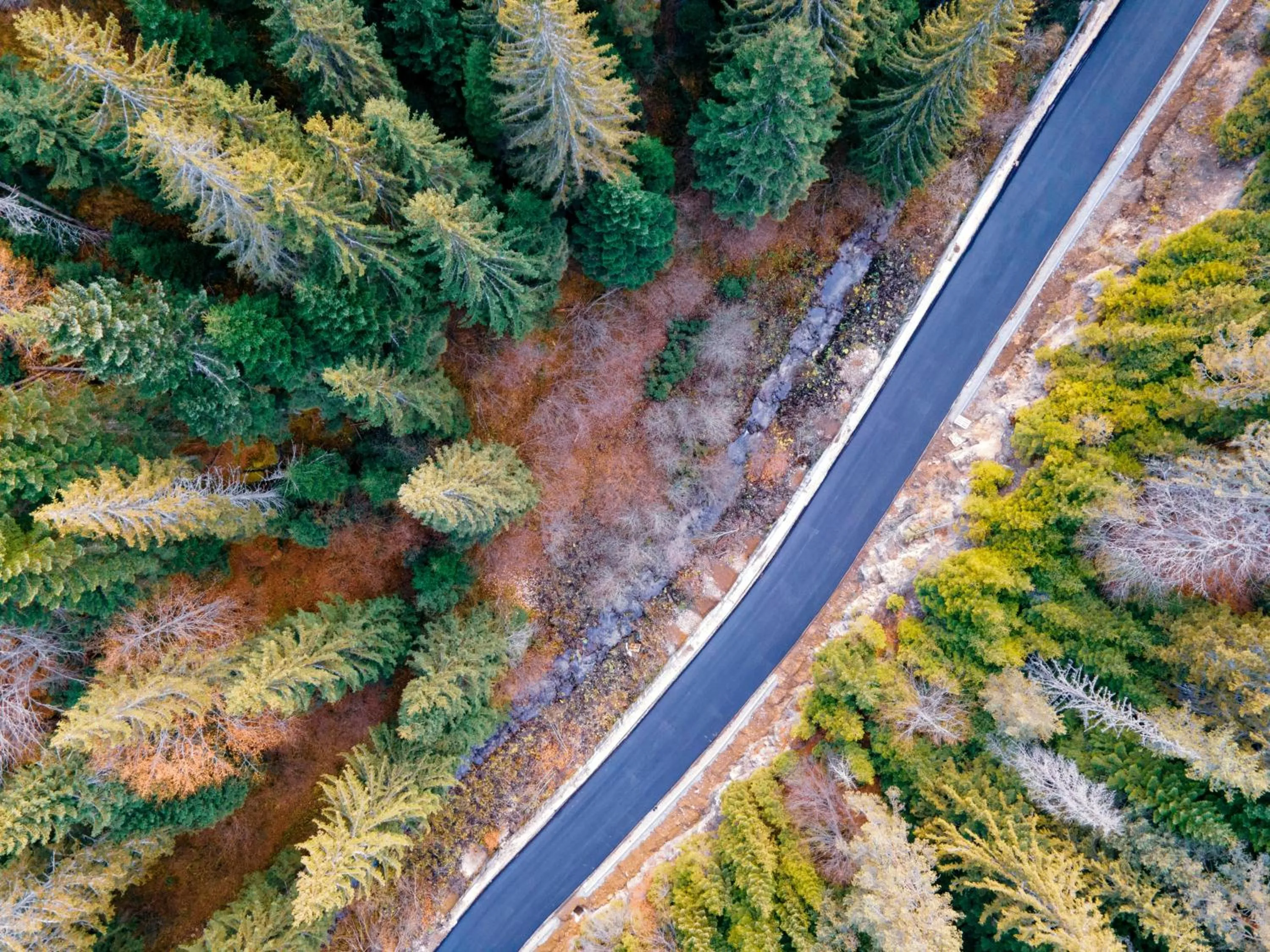 Nearby landmark in Green Hisar Hotel Family
