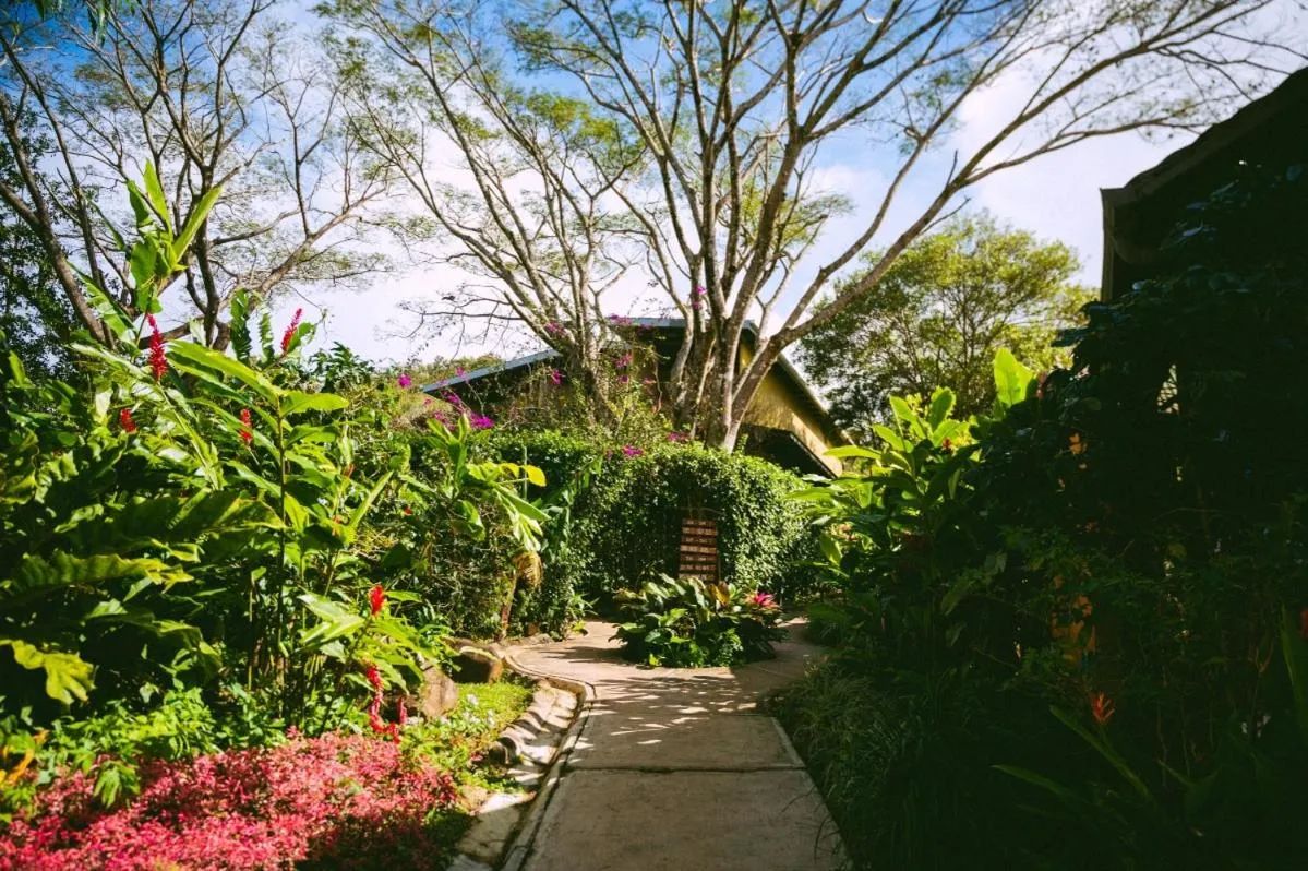 Garden in Rinconcito Lodge