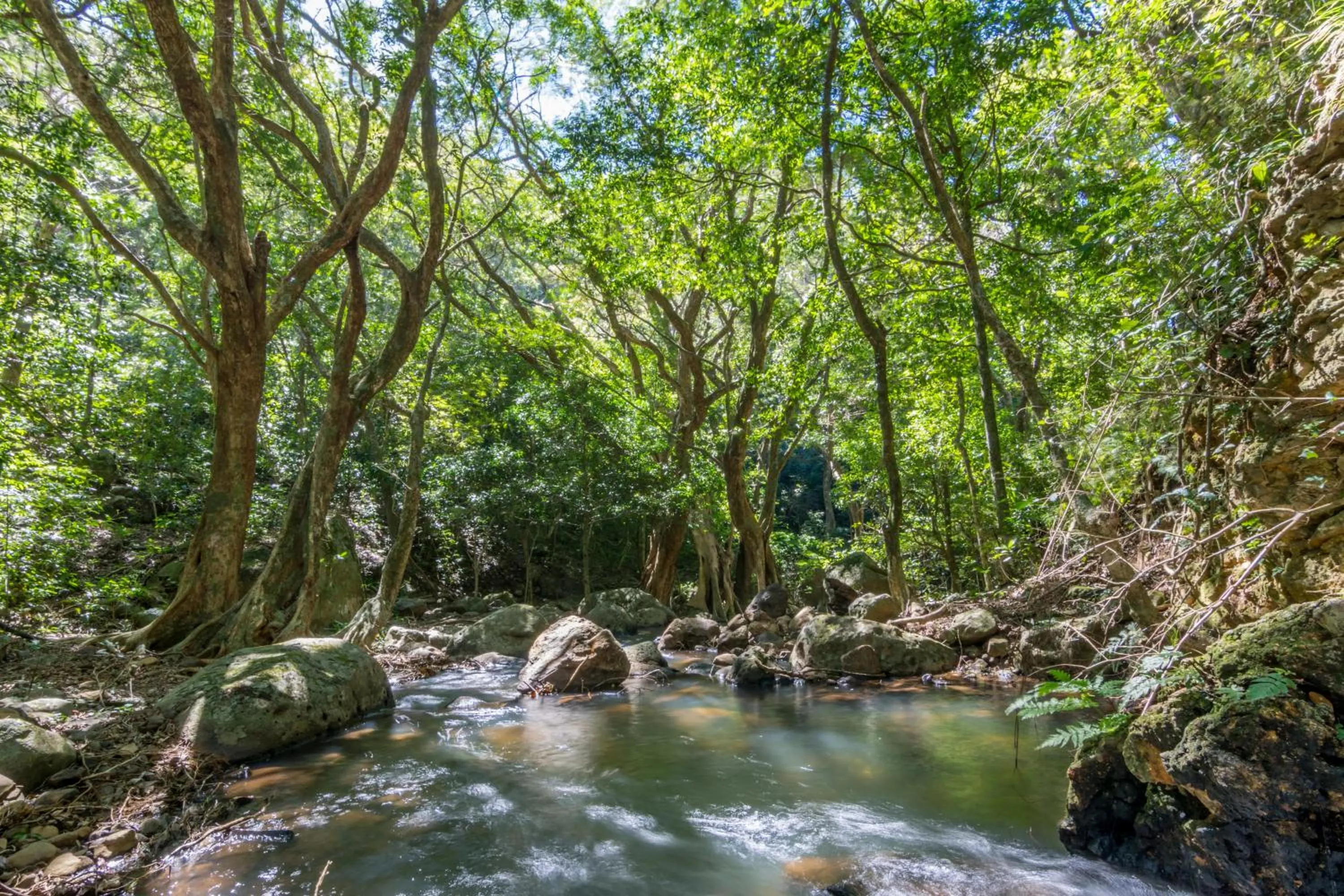 Natural landscape in Rinconcito Lodge