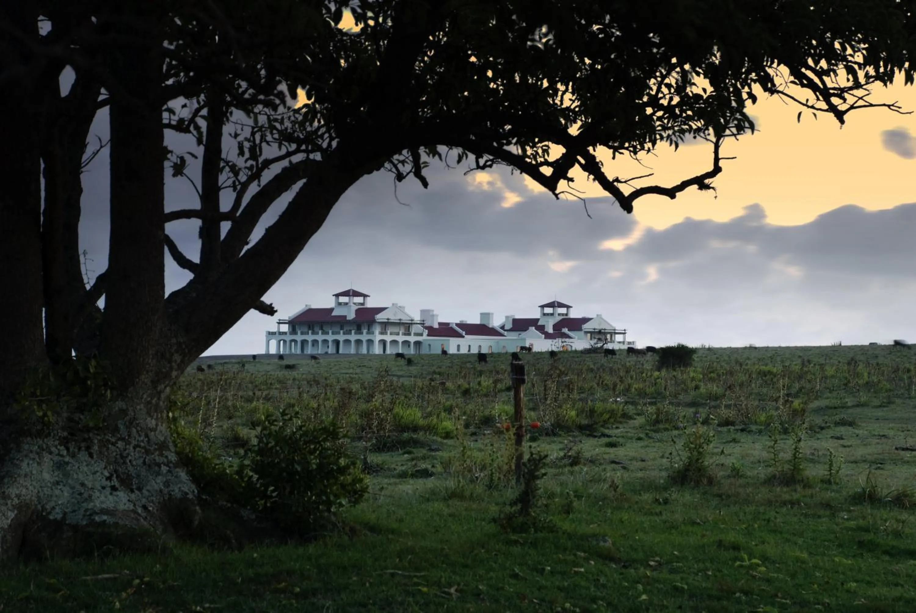Estancia VIK José Ignacio