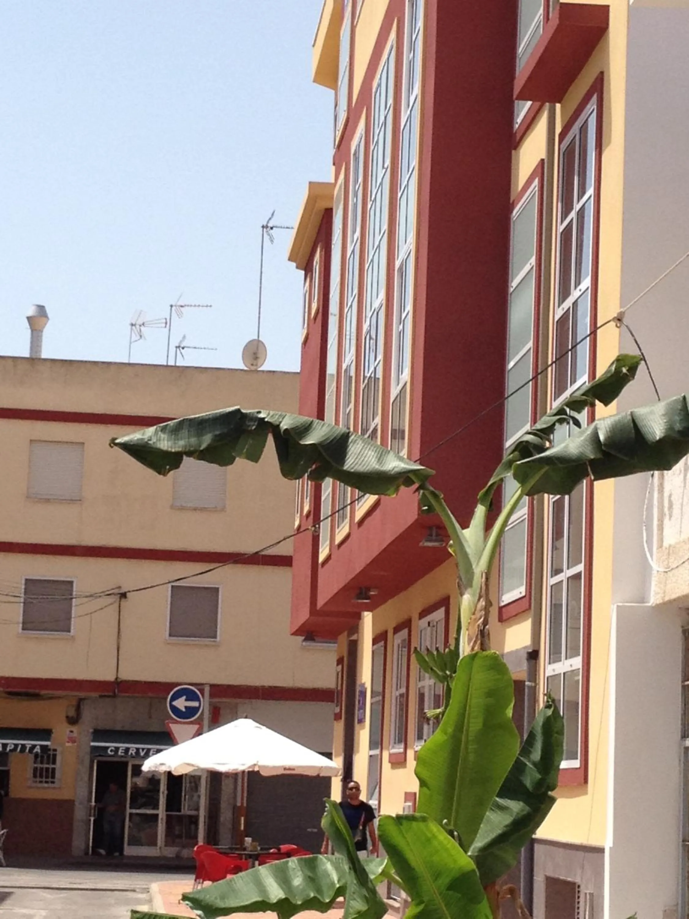 Facade/entrance in Pension La Puntica