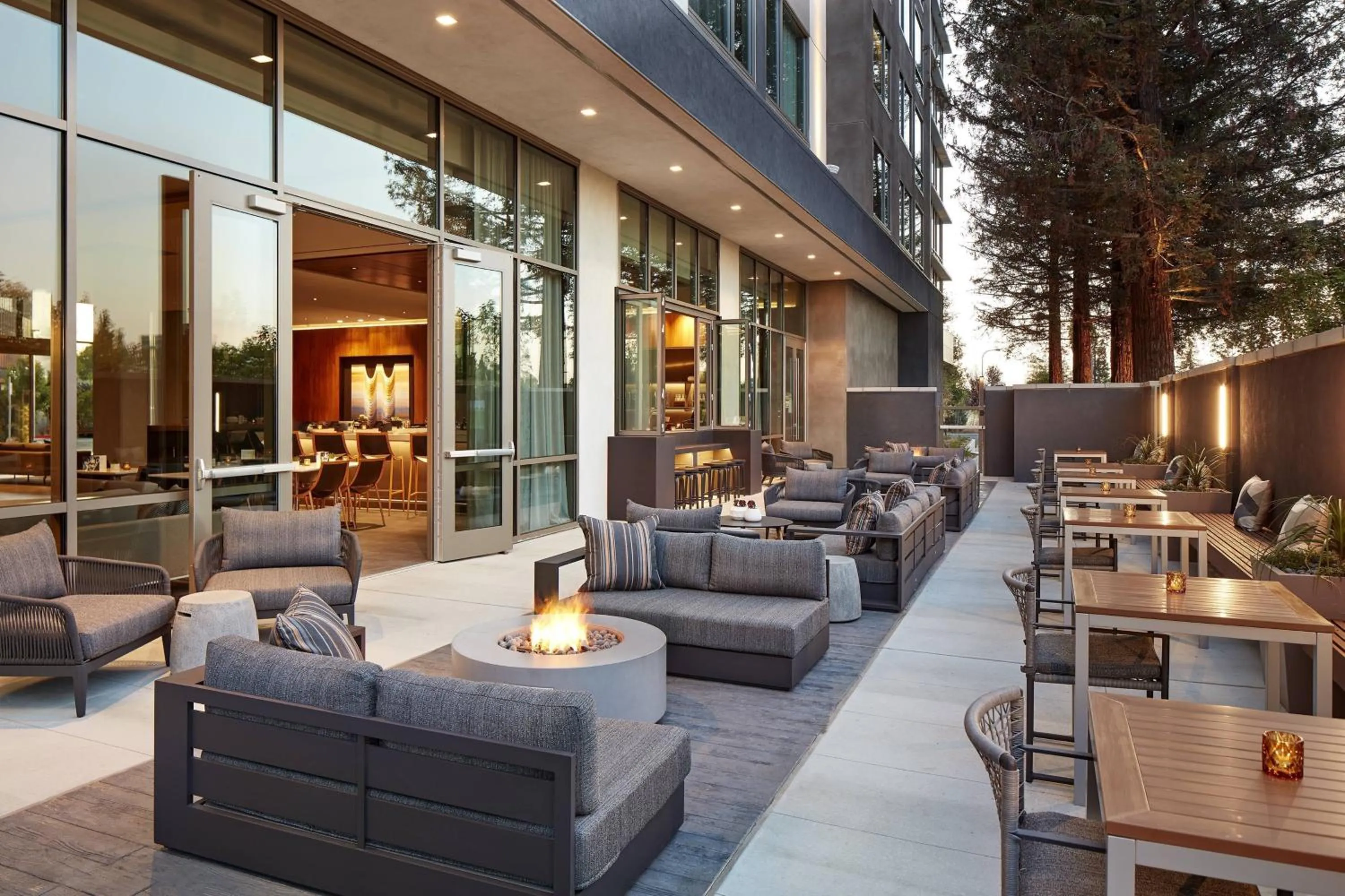 View (from property/room) in AC Hotel by Marriott San Jose Santa Clara