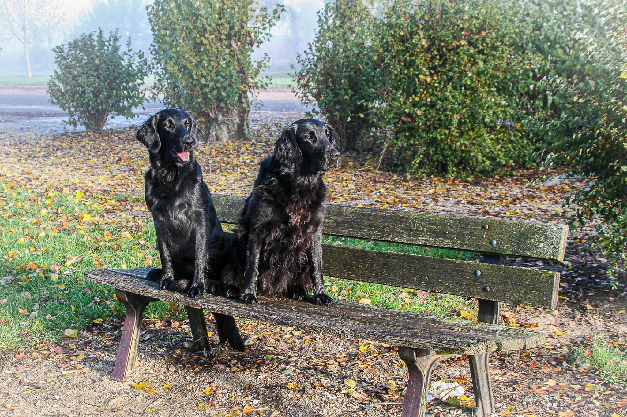 B&B HOTEL IN FERME DE LEUZE nabij Durbuy, eigen laadpalen