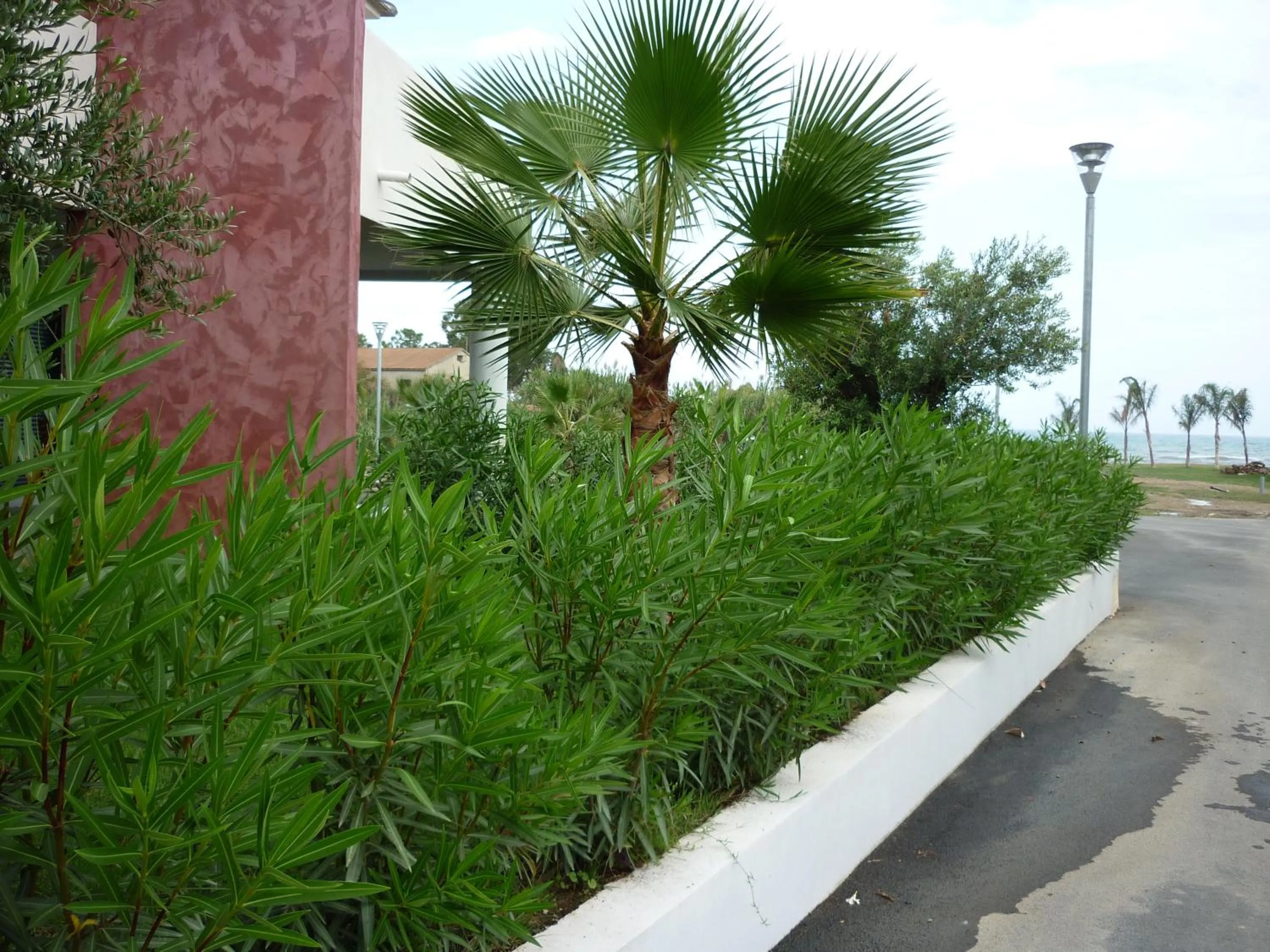 Garden view in Residence Marea Resort