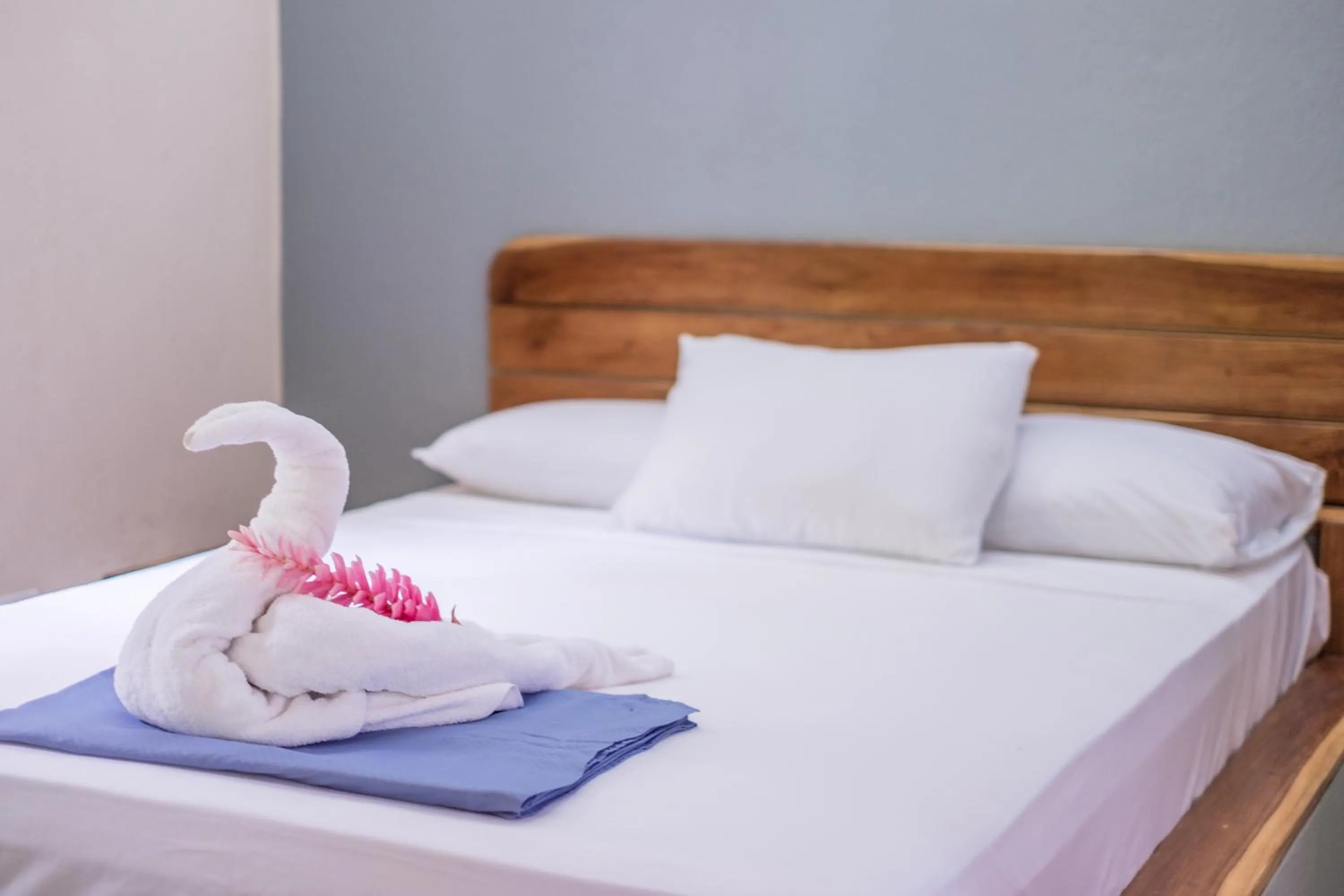 Bed in Zula Inn Aparthotel