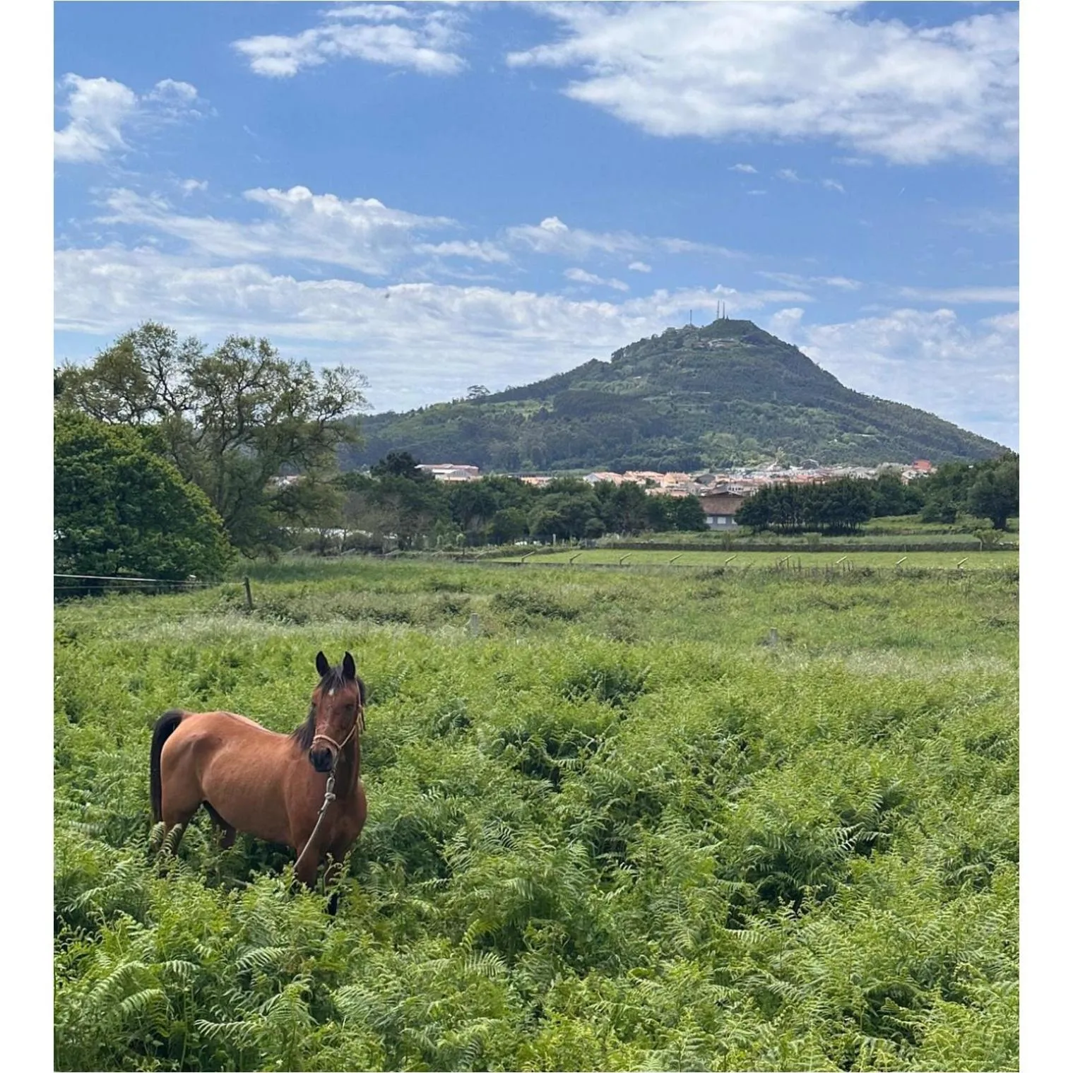 Hotel Apartamento Marouco