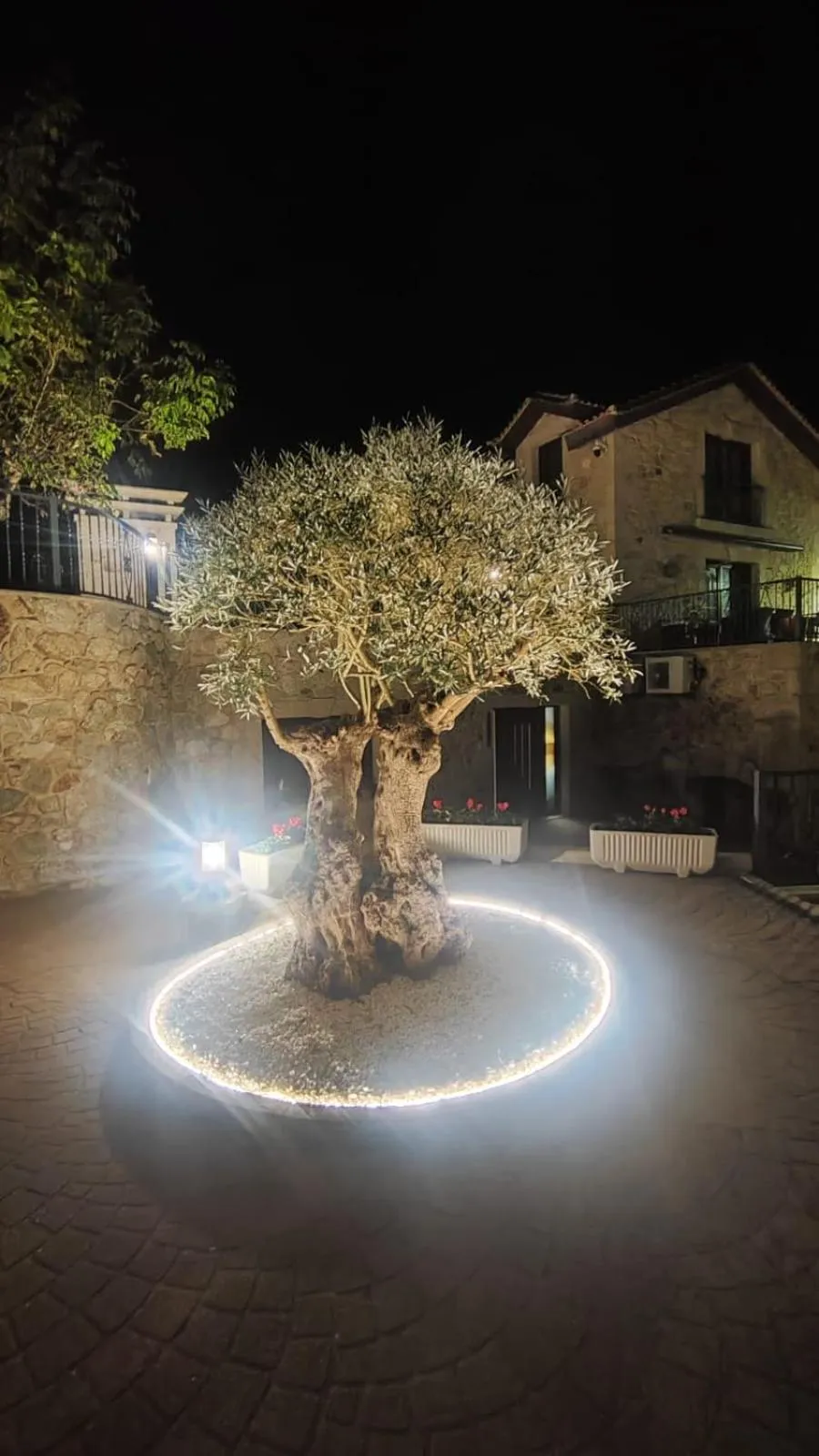 Property building in Hotel Apartamento Marouco