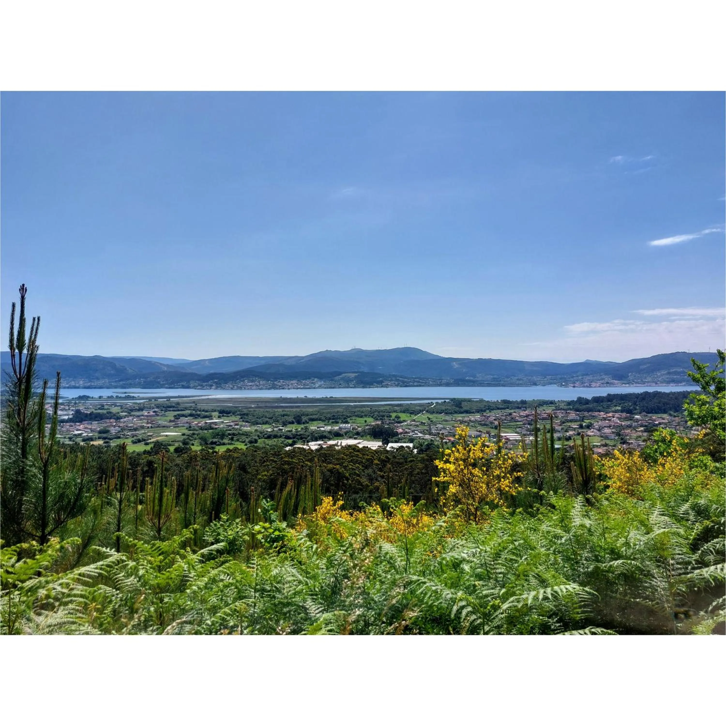 Hotel Apartamento Marouco