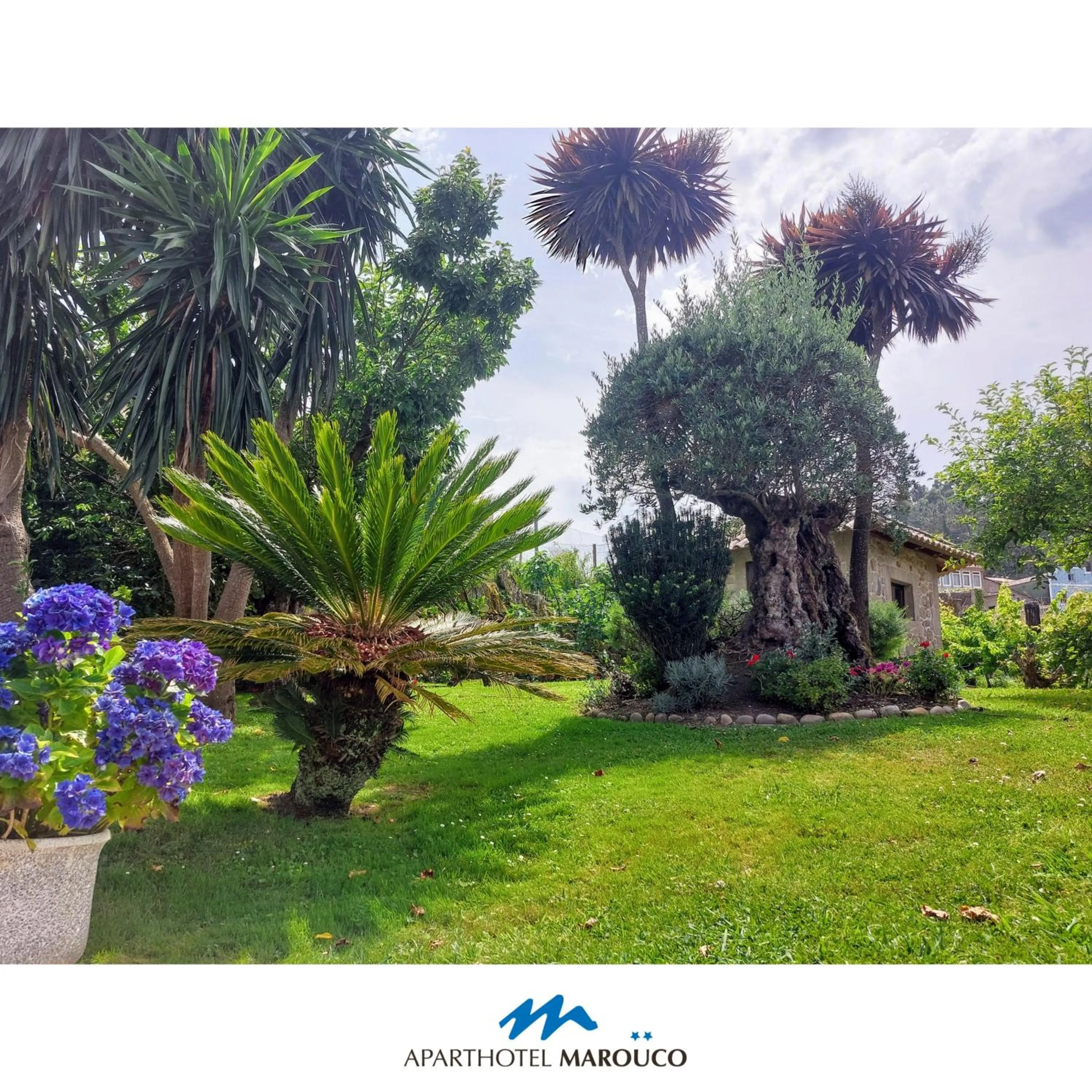 Hotel Apartamento Marouco