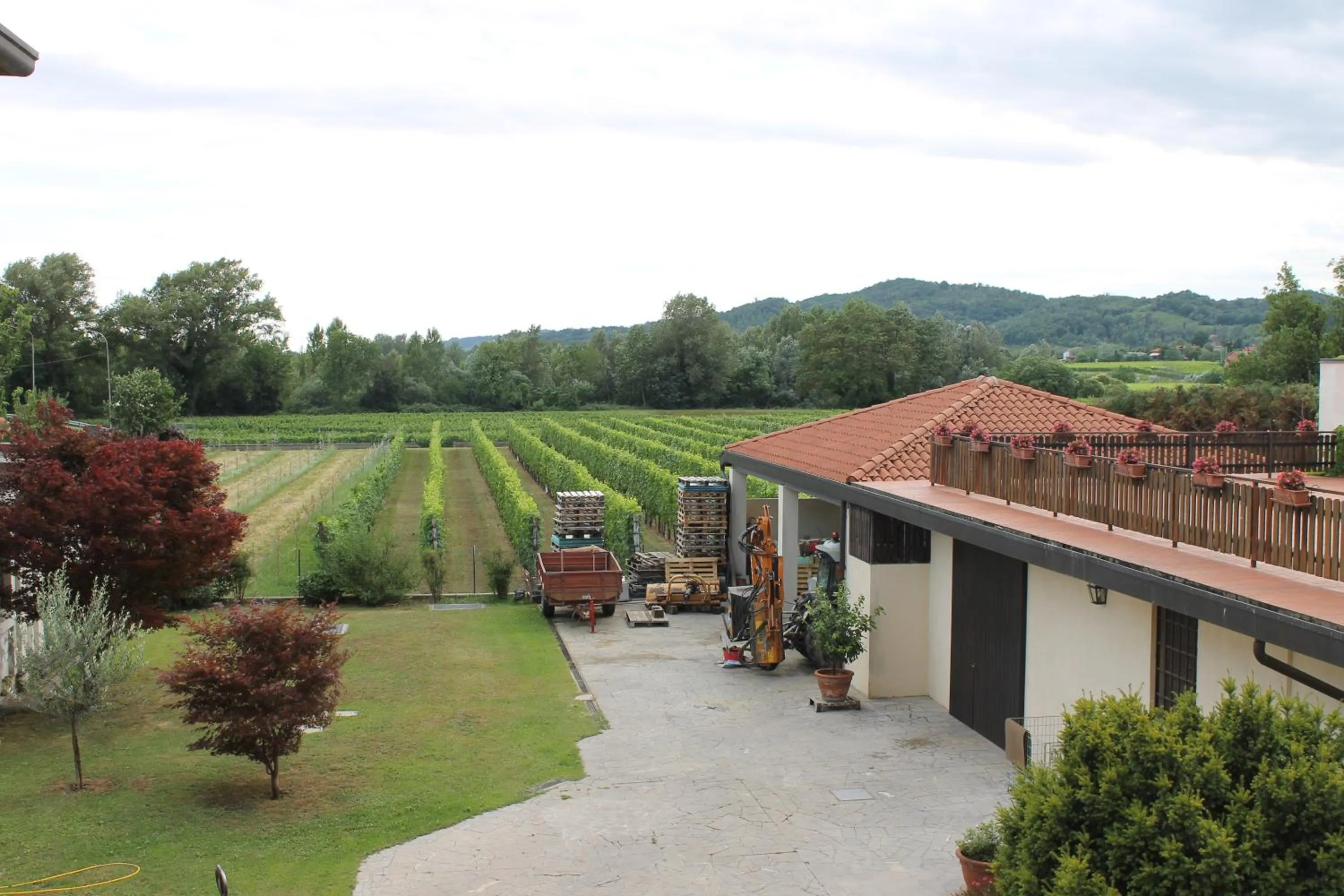 Garden in Agriturismo Grillo Iole Winery