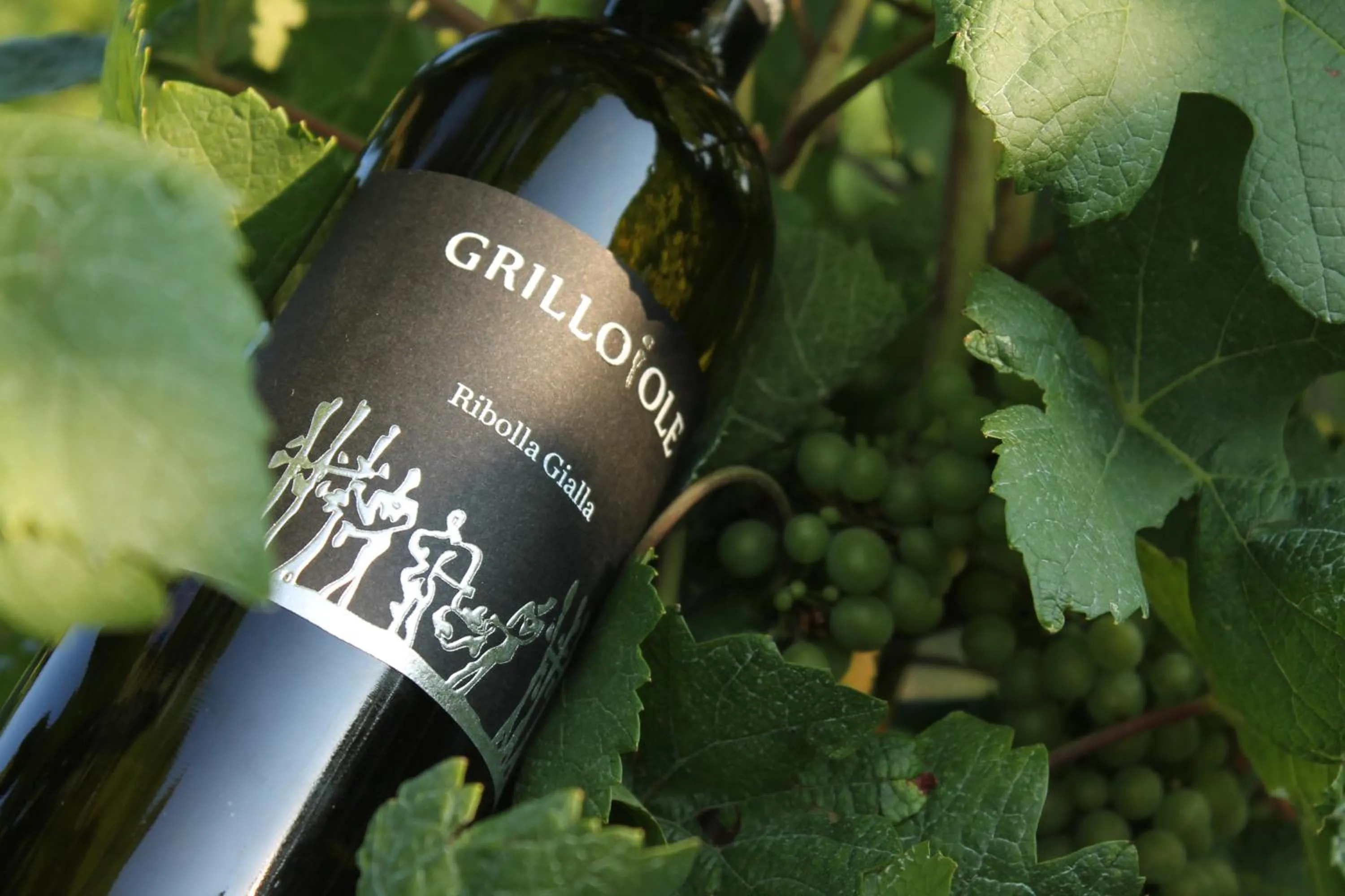 Alcoholic drinks in Agriturismo Grillo Iole Winery