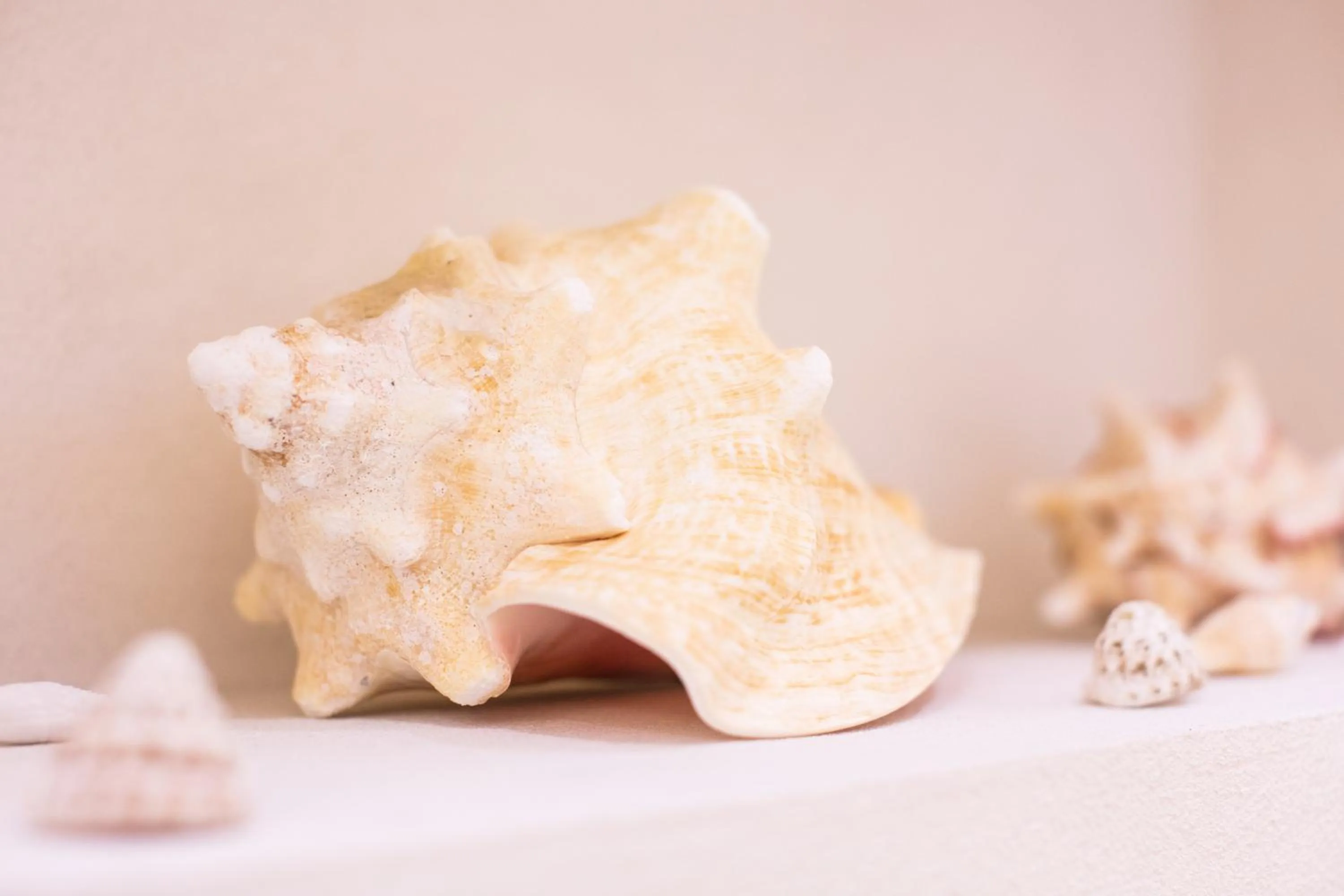 Decorative detail in Laqua by the Sea