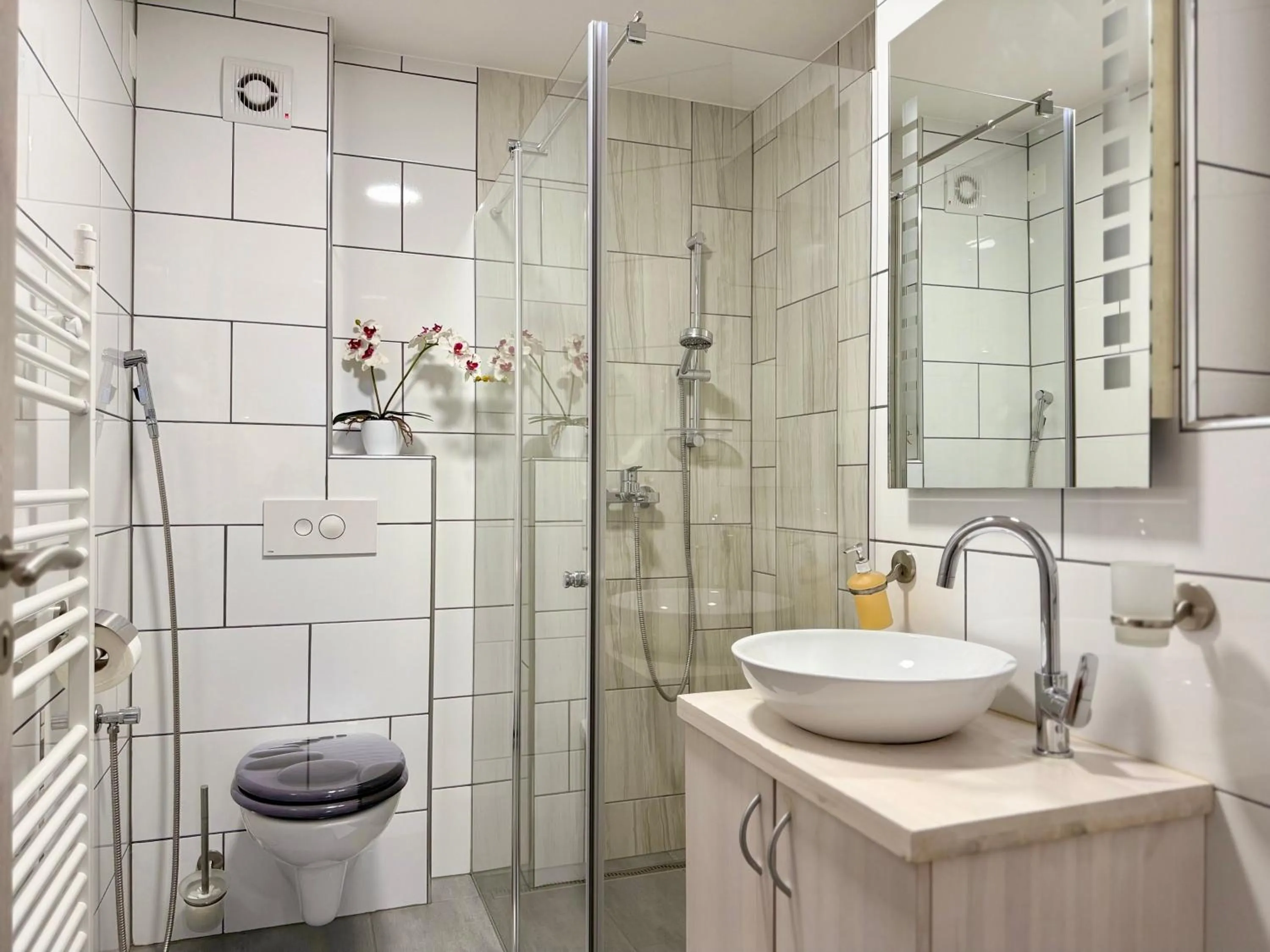 Shower in Guest house Kobal