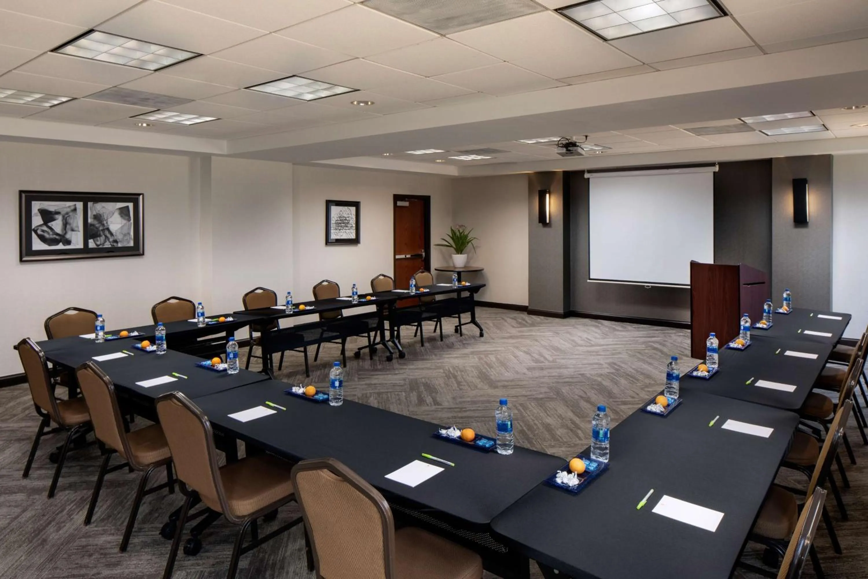 Meeting/conference room in Hyatt Place Roanoke Airport / Valley View Mall