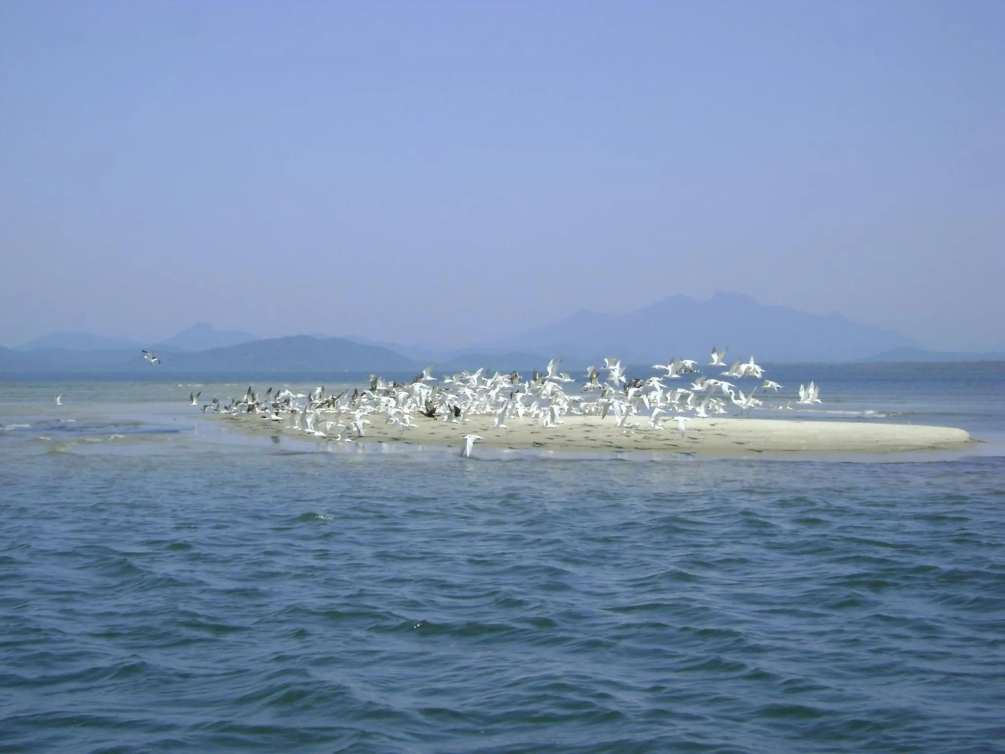 Natural landscape in Hotel Recanto do Sol