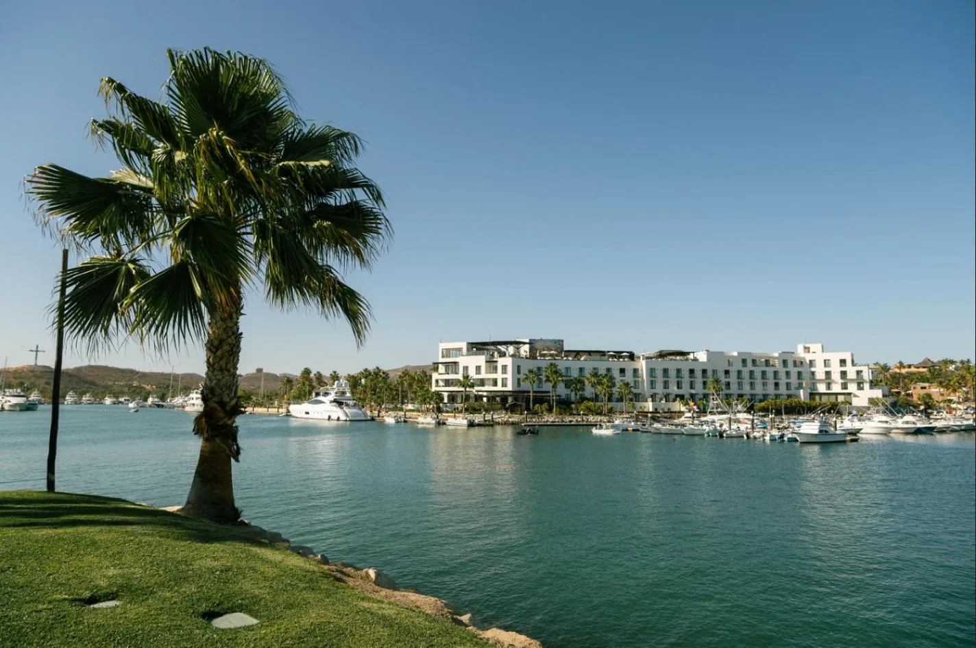 Beach in Hotel El Ganzo - Adults Only