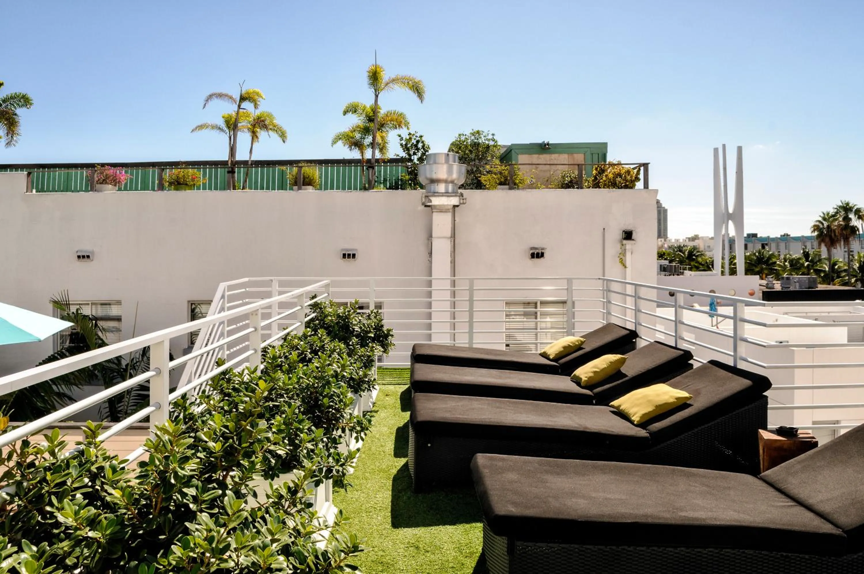 Garden in Posh South Beach