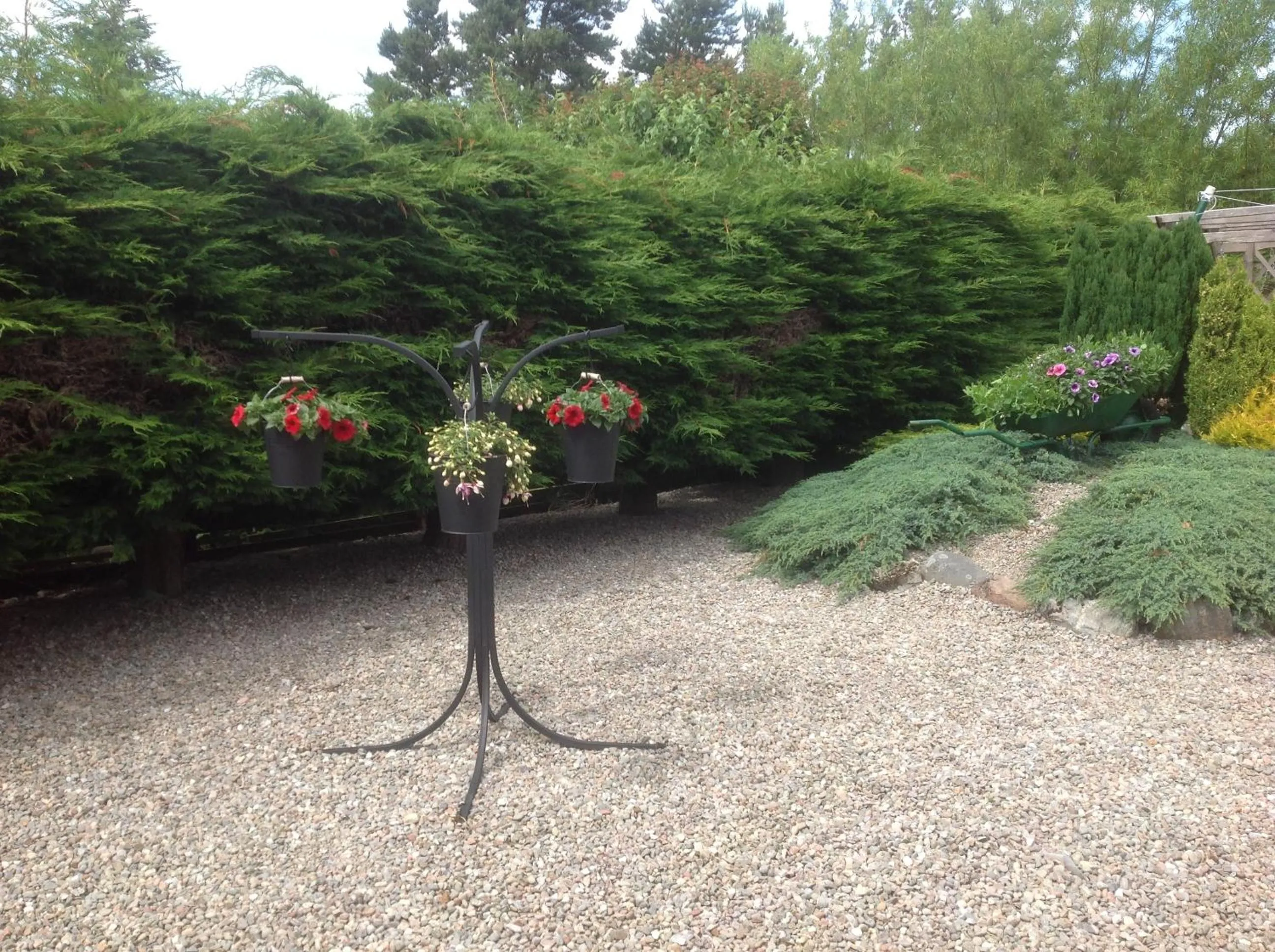 Garden in Dunroamin Bed and Breakfast