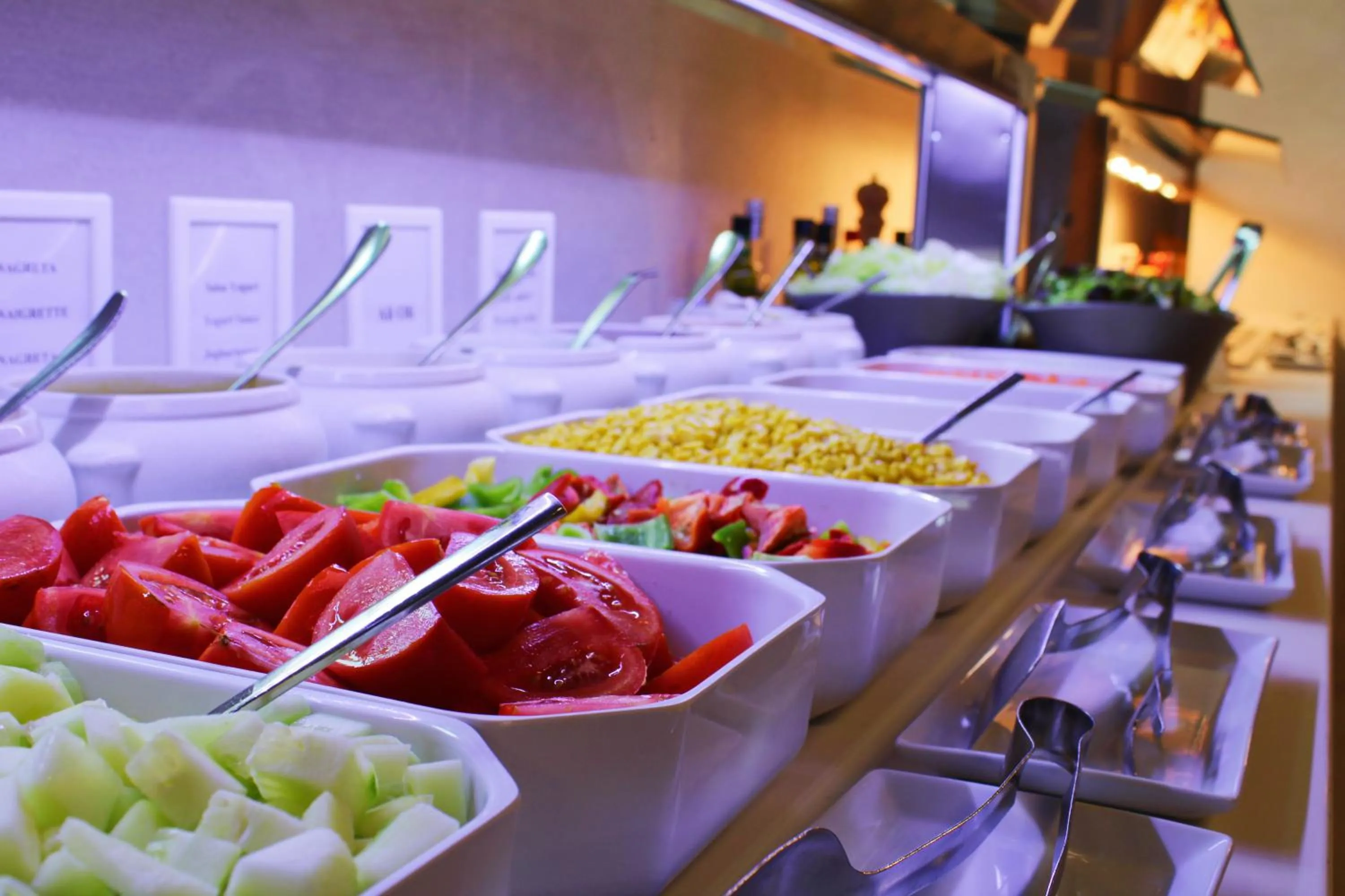 Food and drinks in Hotel Vista Odin