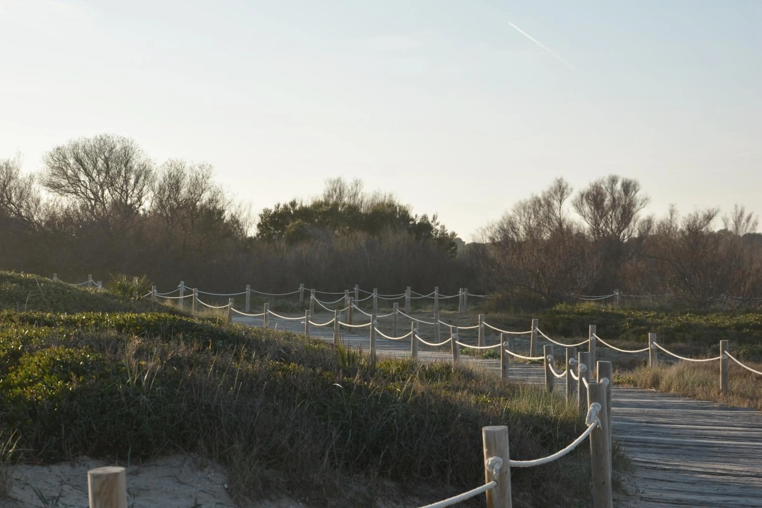 Natural landscape in YOU & CO. Saler Beach Boutique