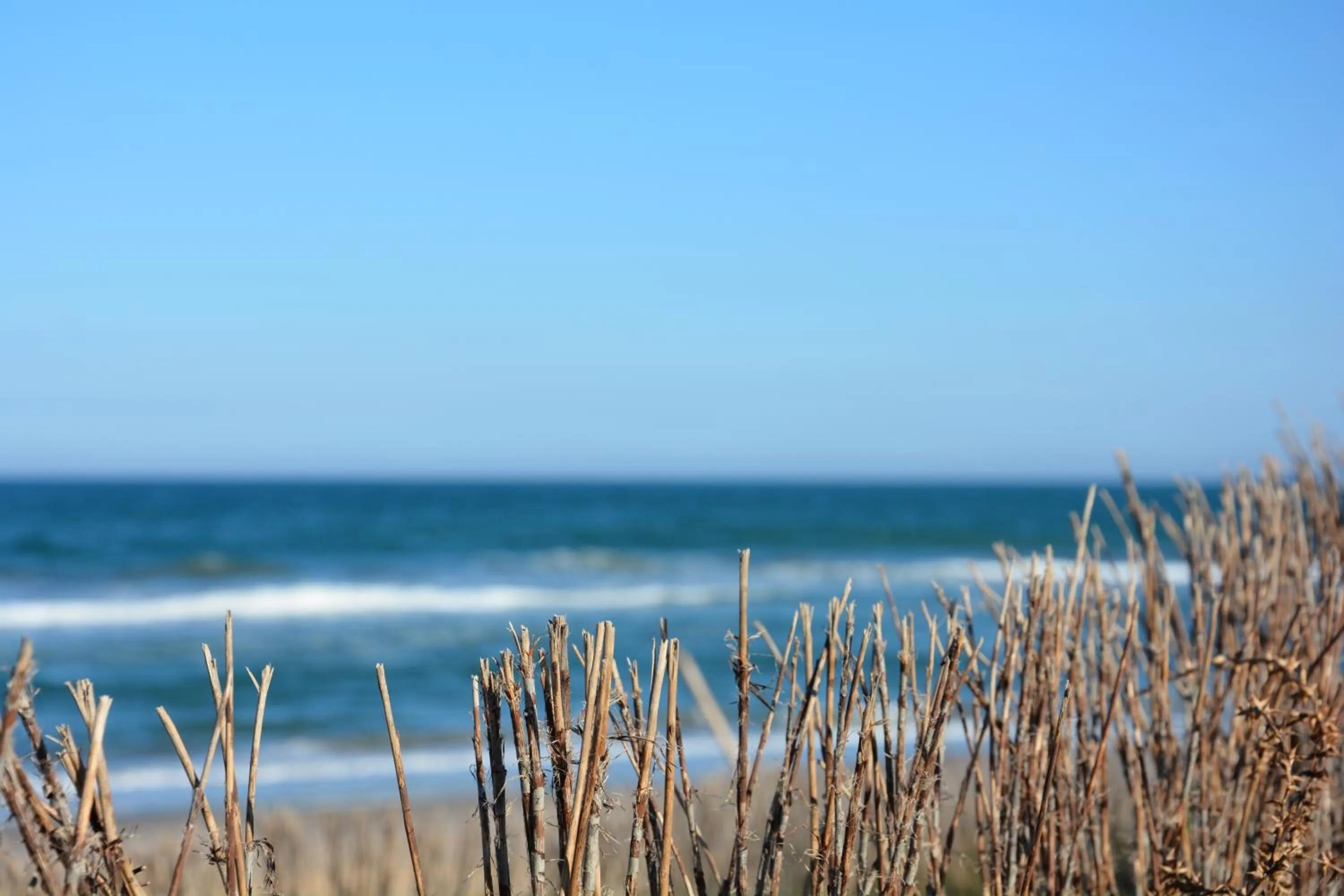 Natural landscape in YOU & CO. Saler Beach Boutique