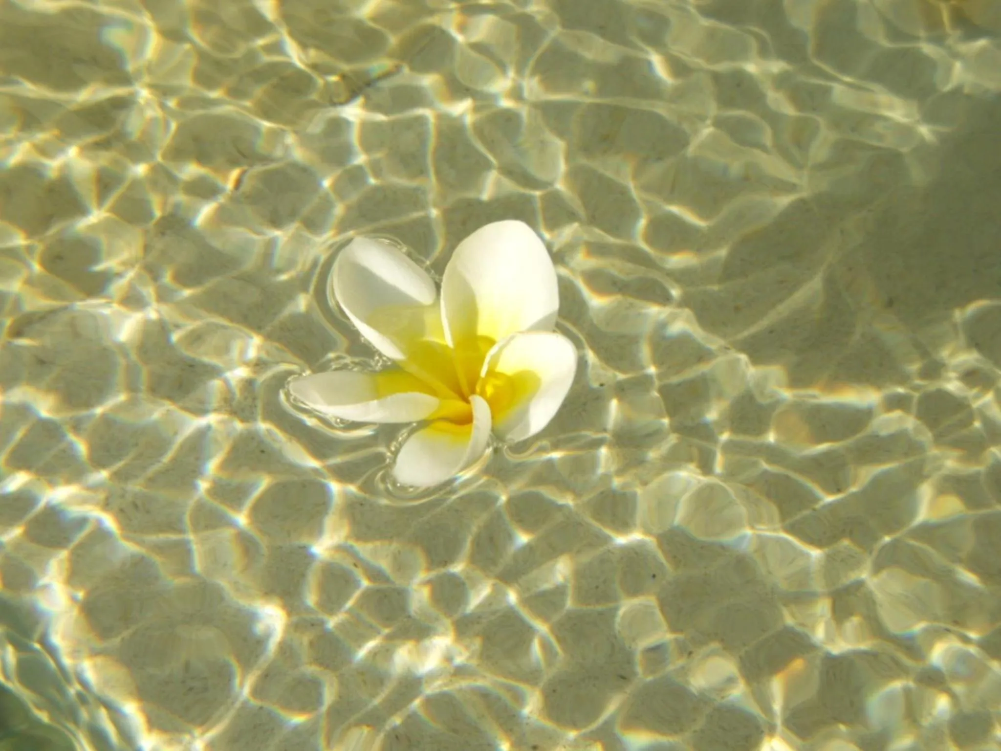 Other in Nike Villas