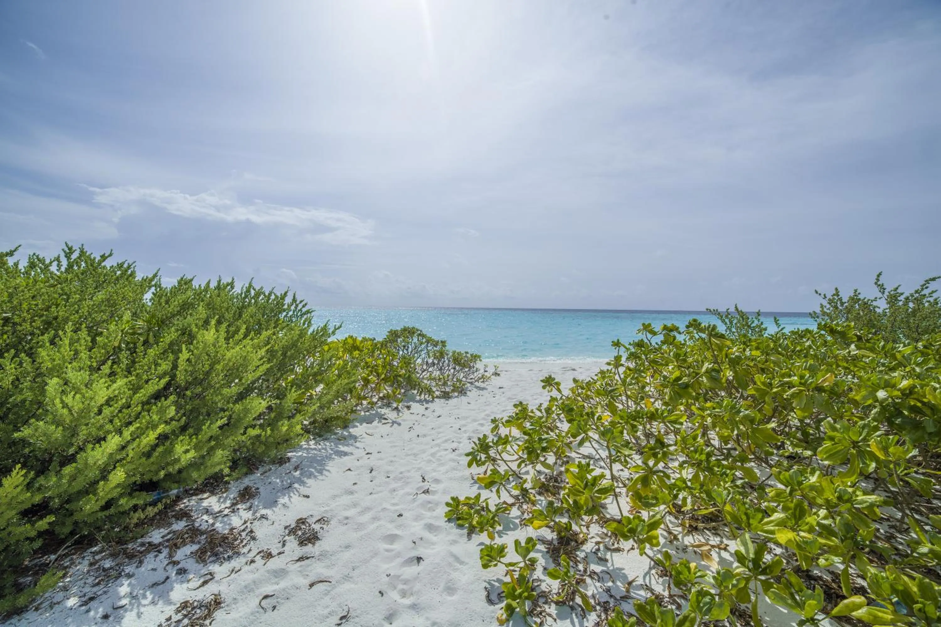 Beach in By the shade Maldives