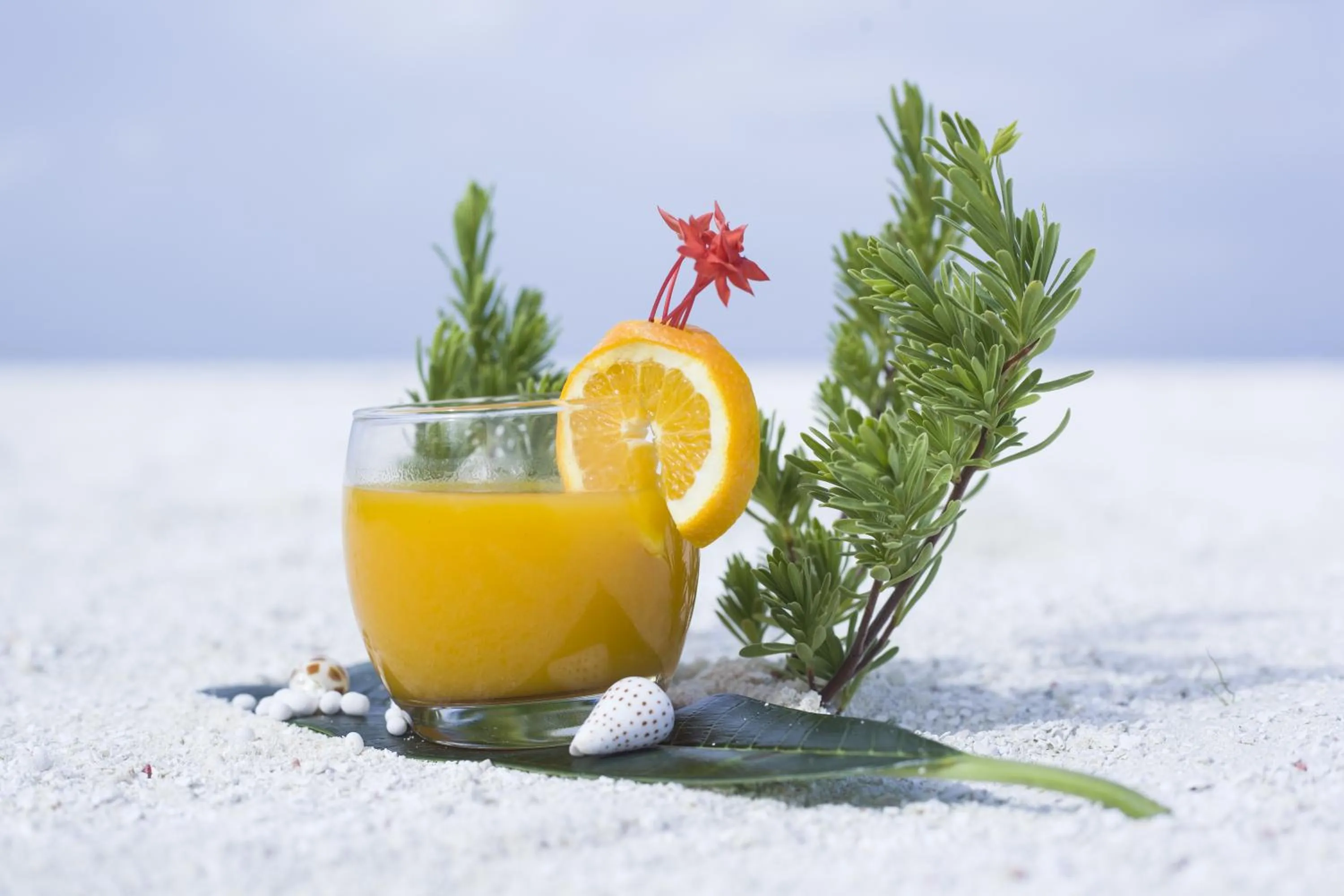 Food and drinks in By the shade Maldives