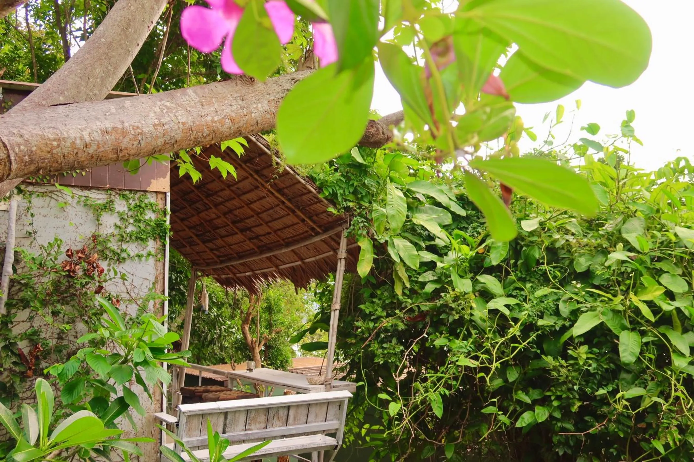 Property building in Phi Phi Sea Sky Resort