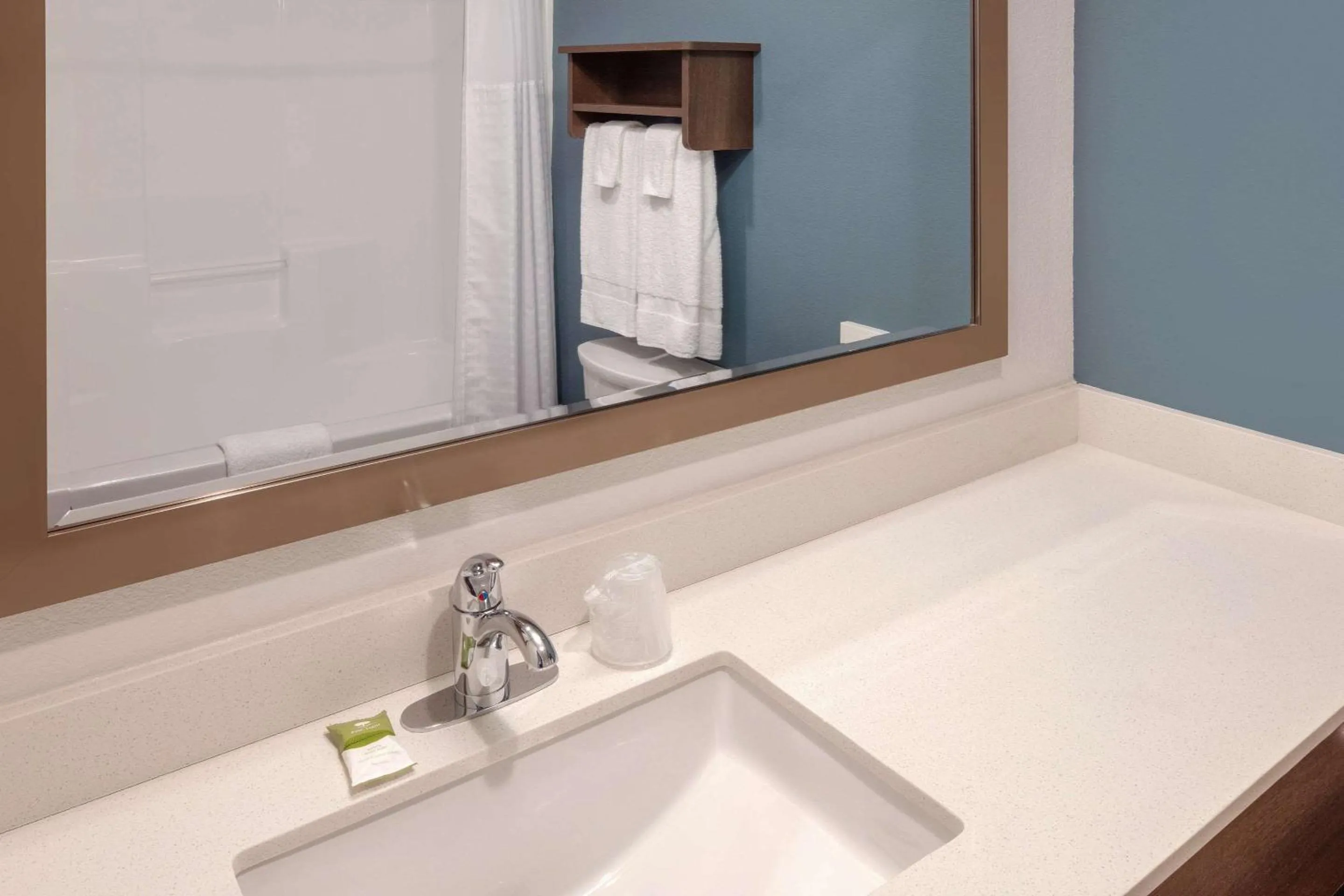 Bathroom in Wood Spring Suites Washington DC East Arena Drive