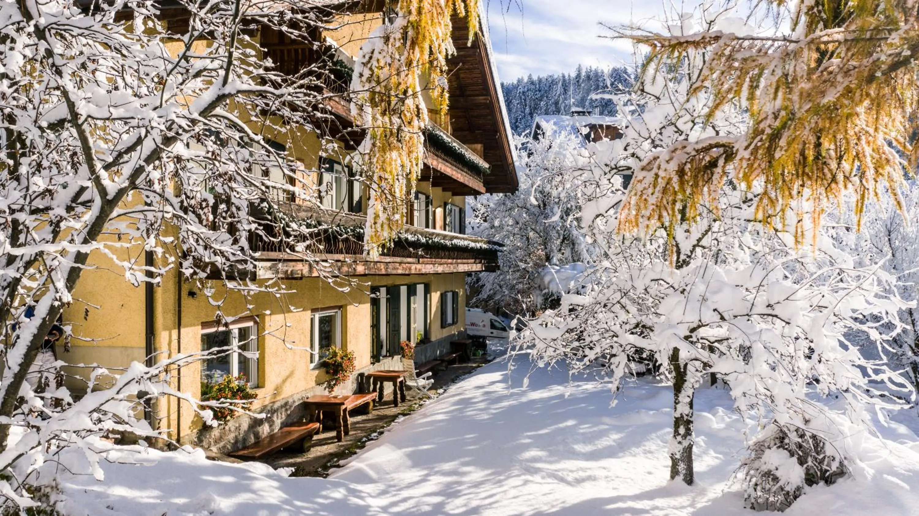 AppartChalet LA RONDULA - 100m from Seceda