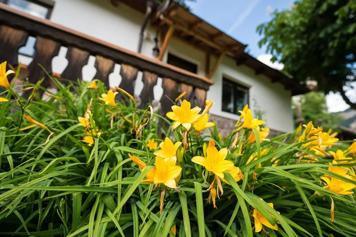 AppartChalet LA RONDULA - 100m from Seceda