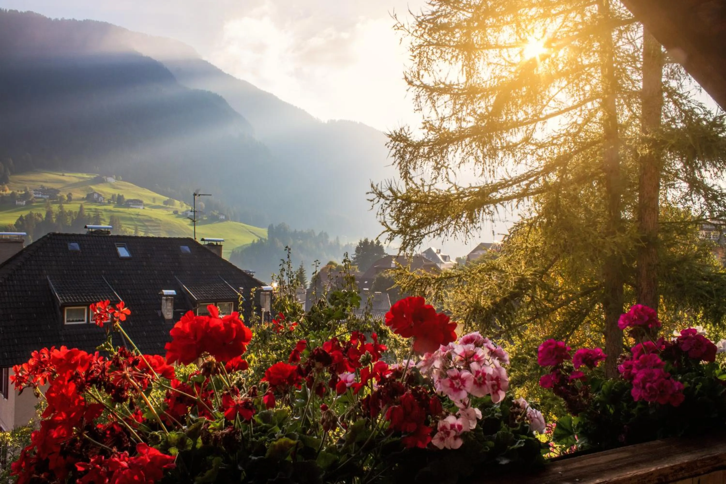 AppartChalet LA RONDULA - 100m from Seceda