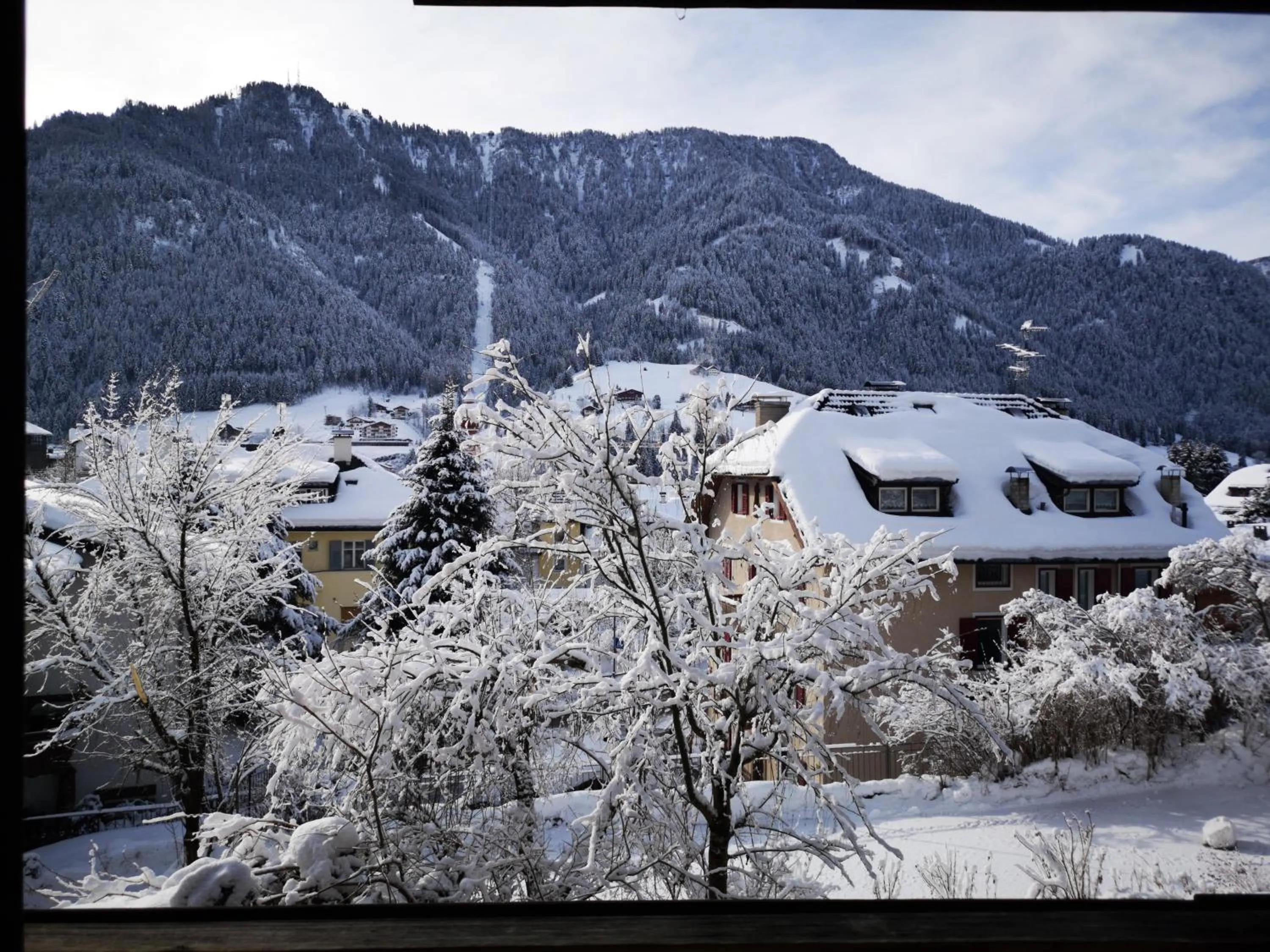 AppartChalet LA RONDULA - 100m from Seceda