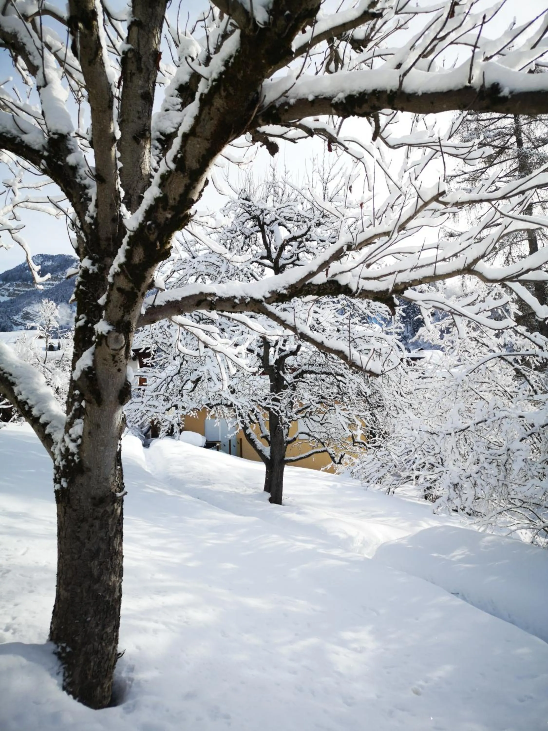 AppartChalet LA RONDULA - 100m from Seceda