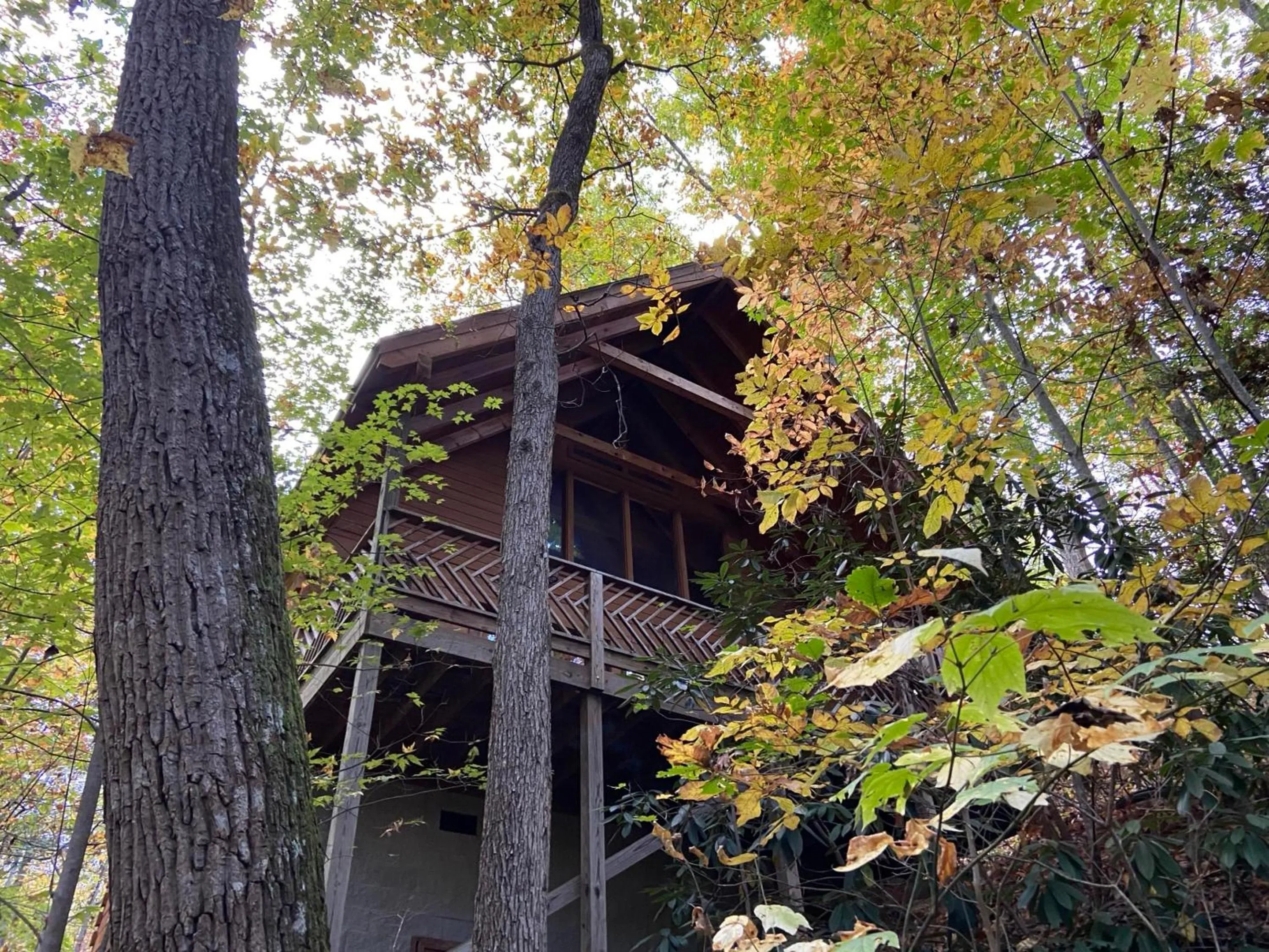 Property building in Above Ole Smokys Clouds