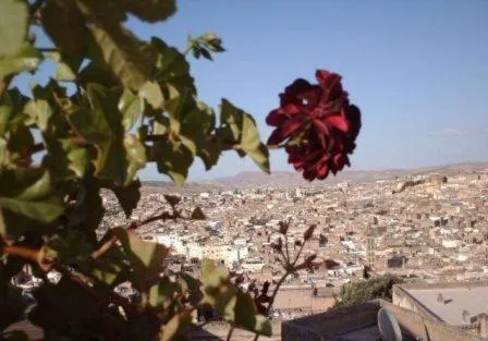 Landmark view in Dar Al Safadi