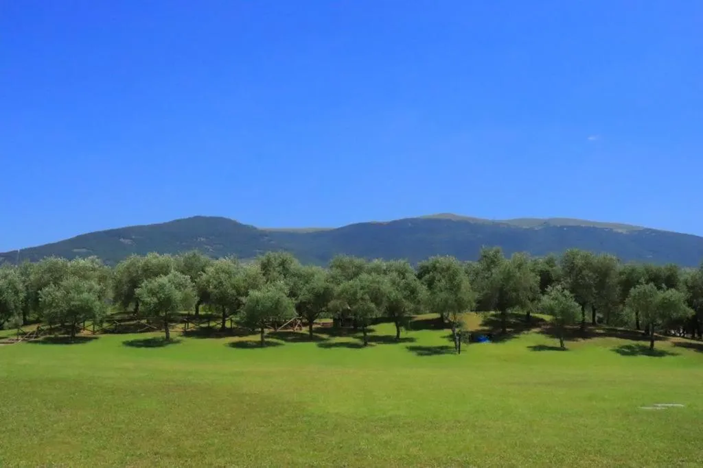 Garden in Agriturismo Il Casale di Monica