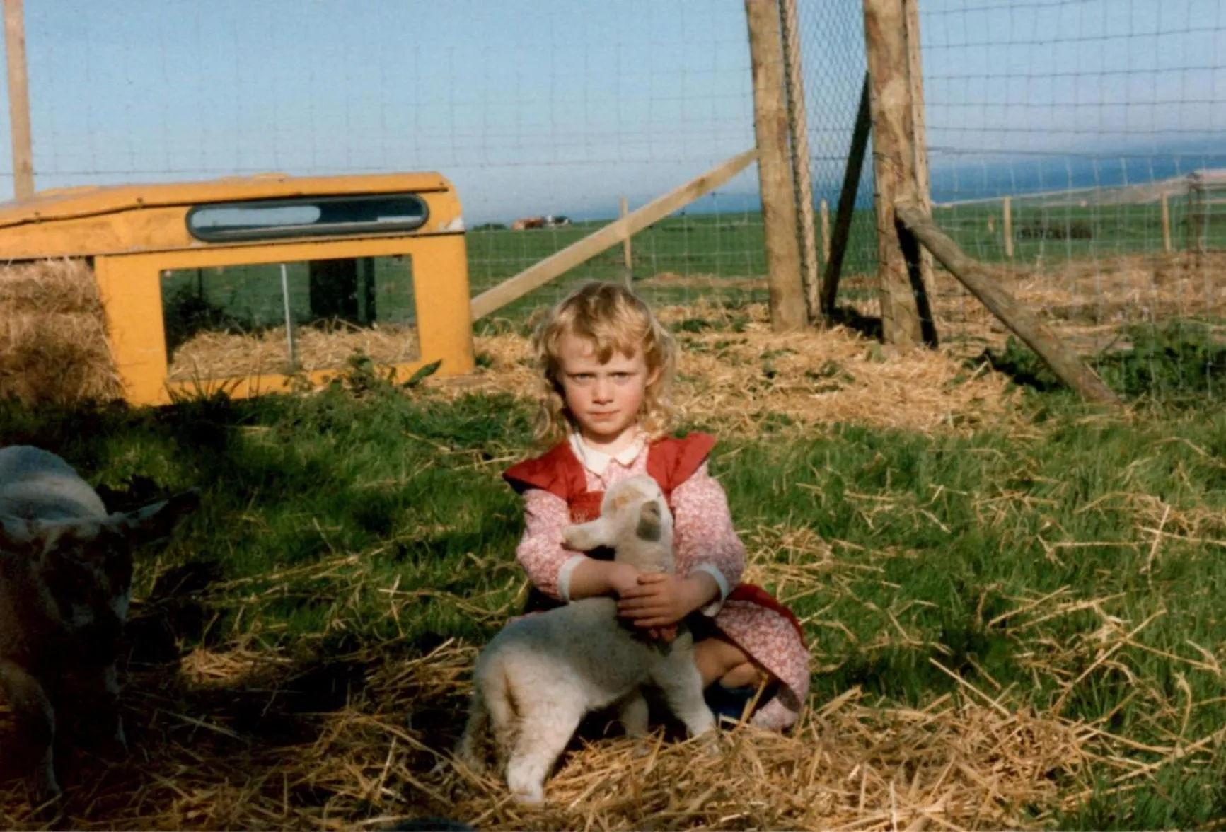 Hiking in Song of the Sea, Selkie House
