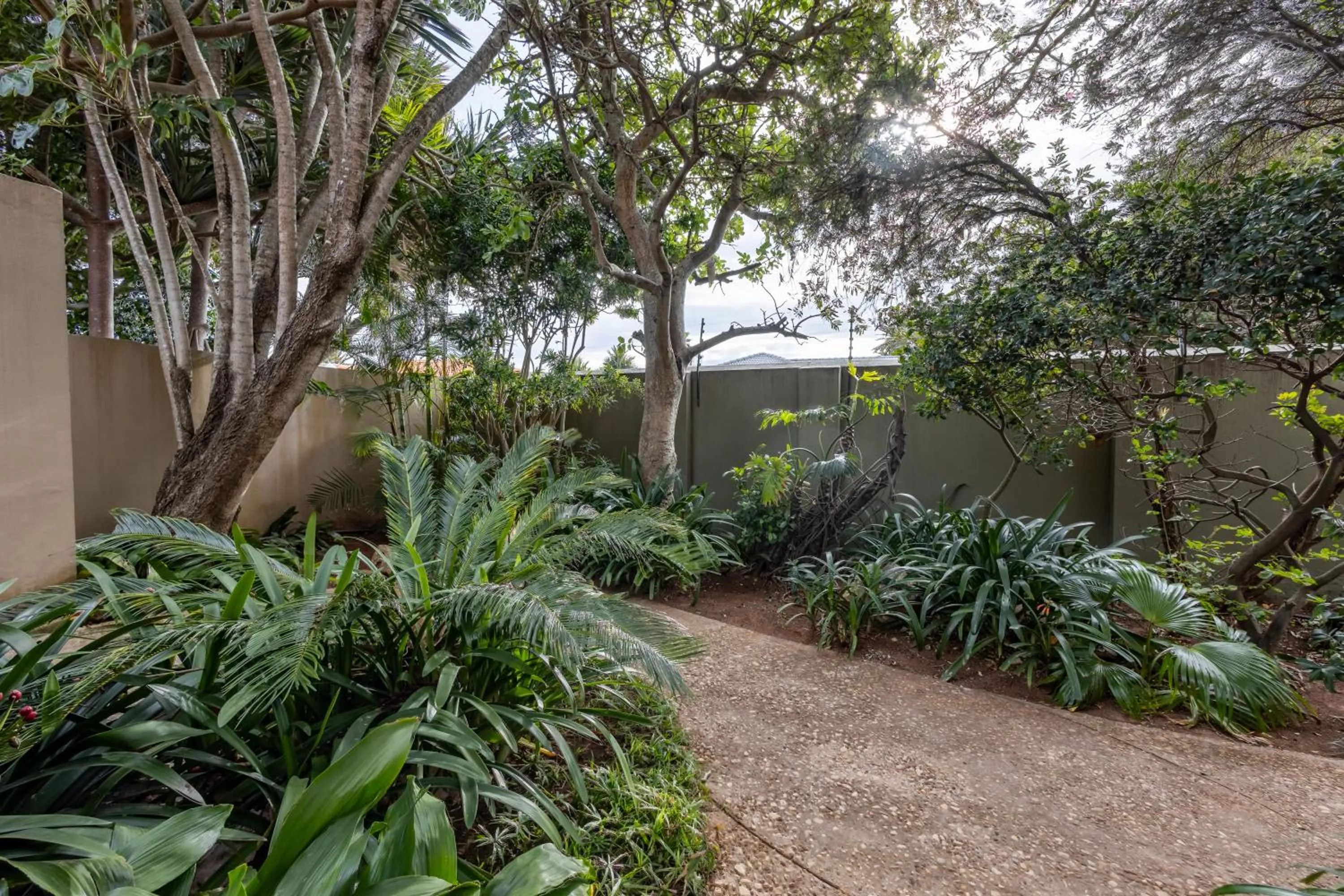 Spring in Singa Lodge - Lion Roars Hotels & Lodges