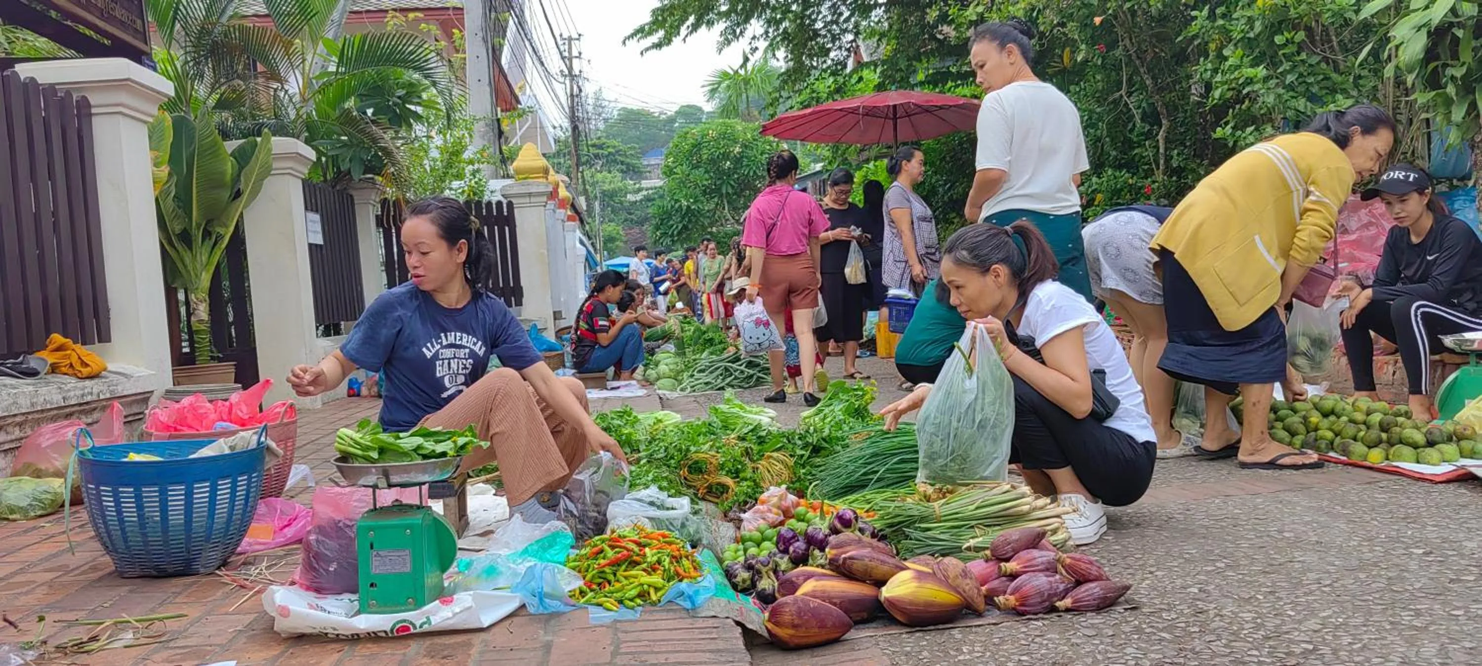 Day in wisdom mystery Hotel