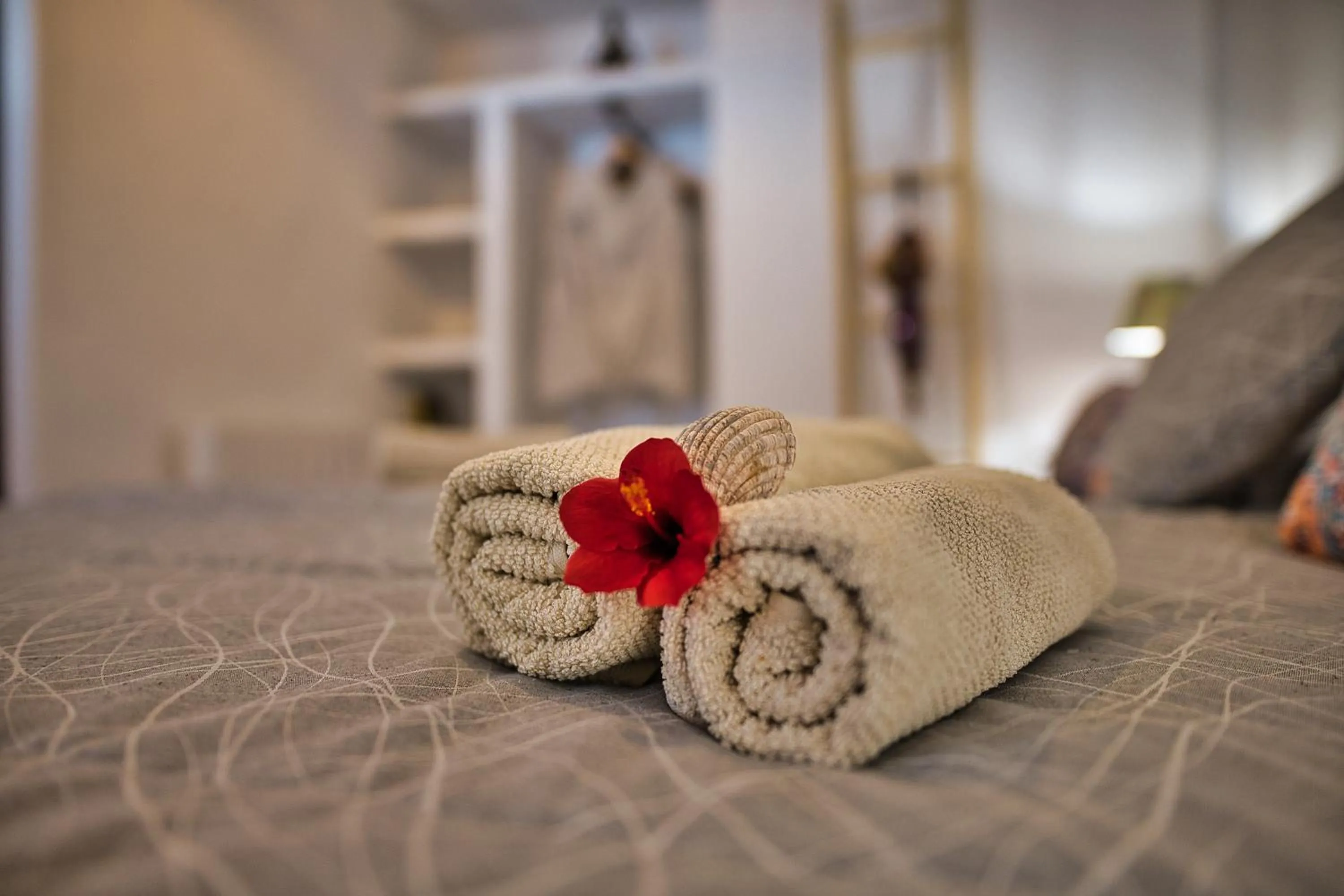 Photo of the whole room in Boutique Hotel Rancho Los Lobos