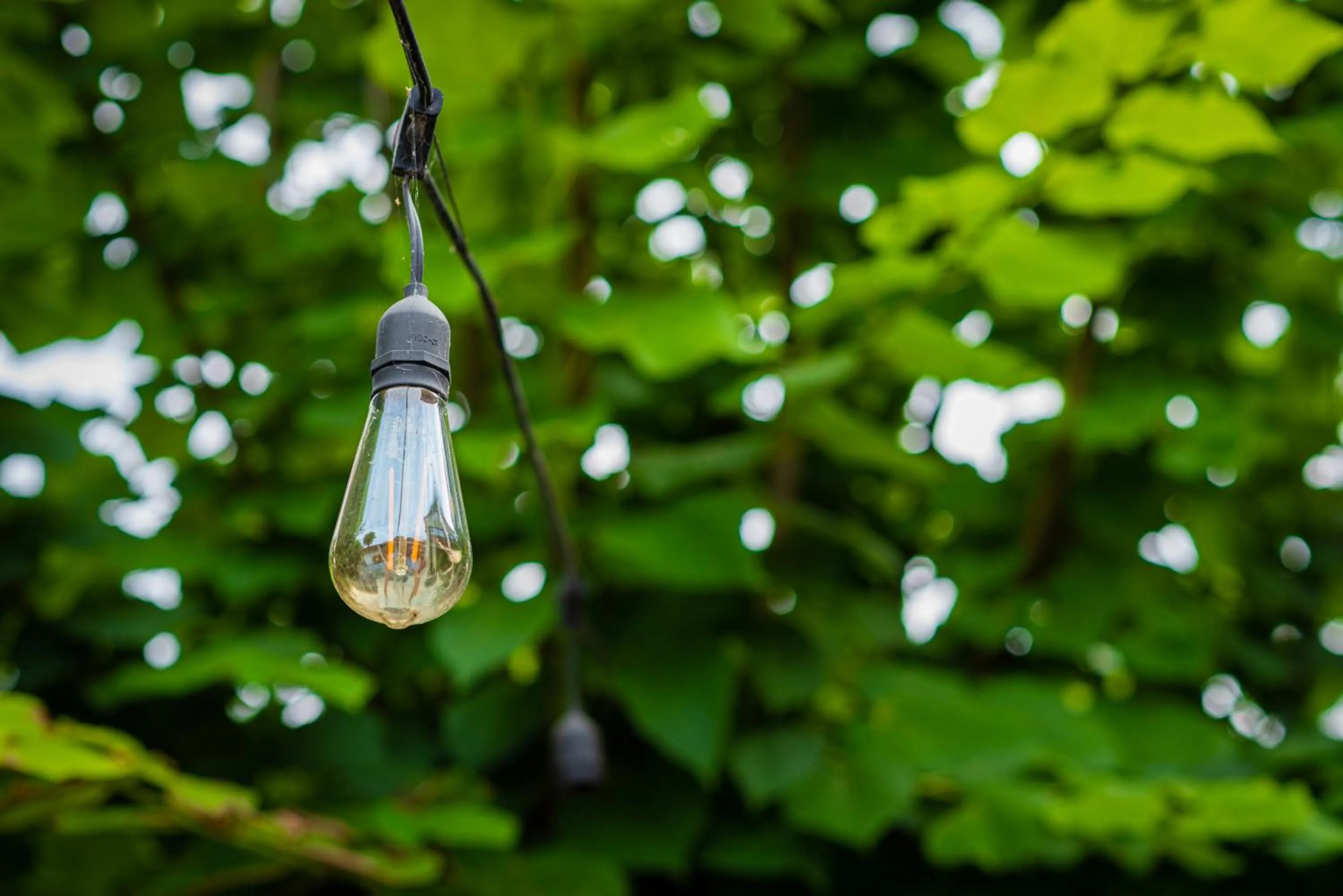 iVAVev IS US ByTheSea EforieSud