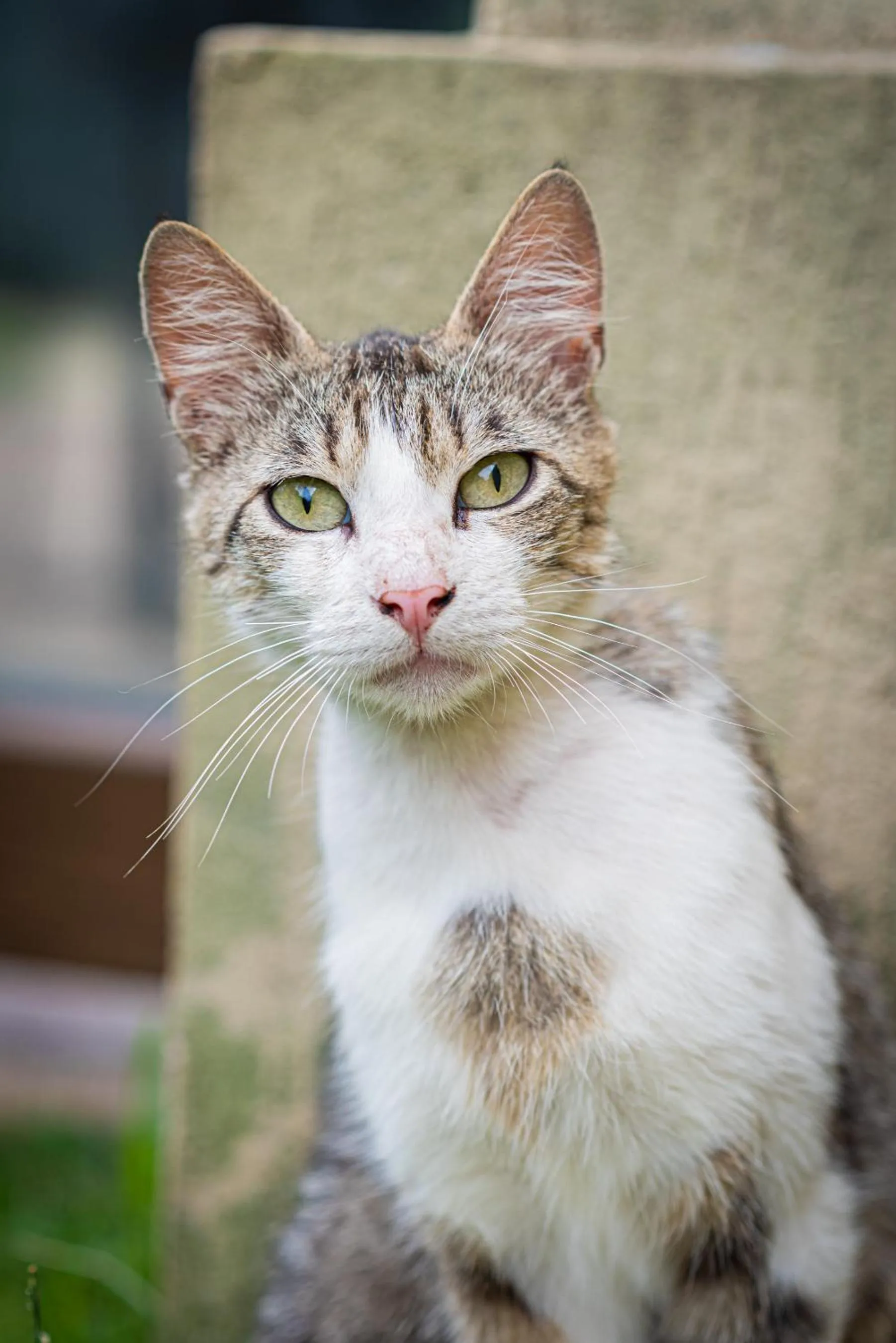 iVAVev IS US ByTheSea EforieSud