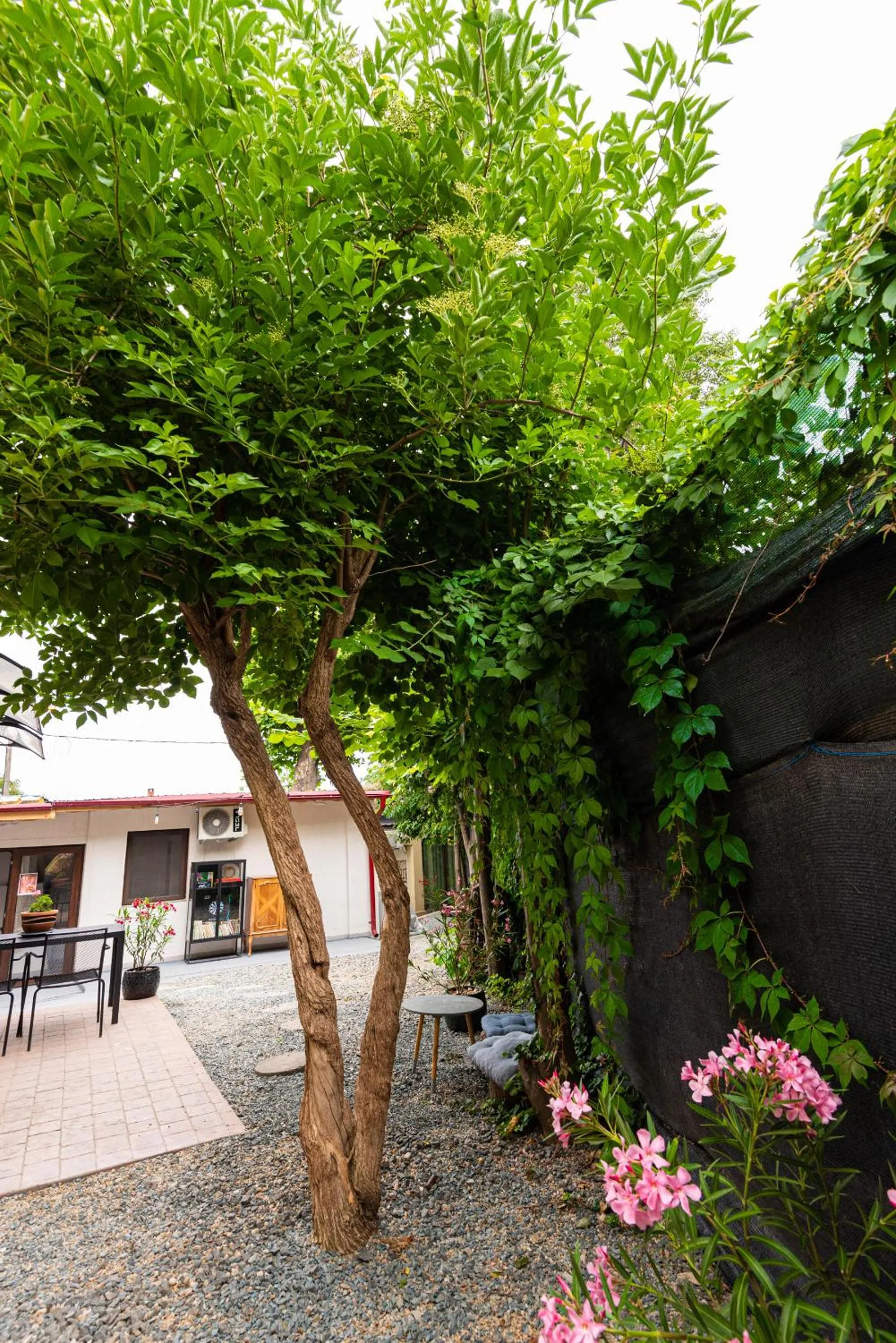 iVAVev IS US ByTheSea EforieSud