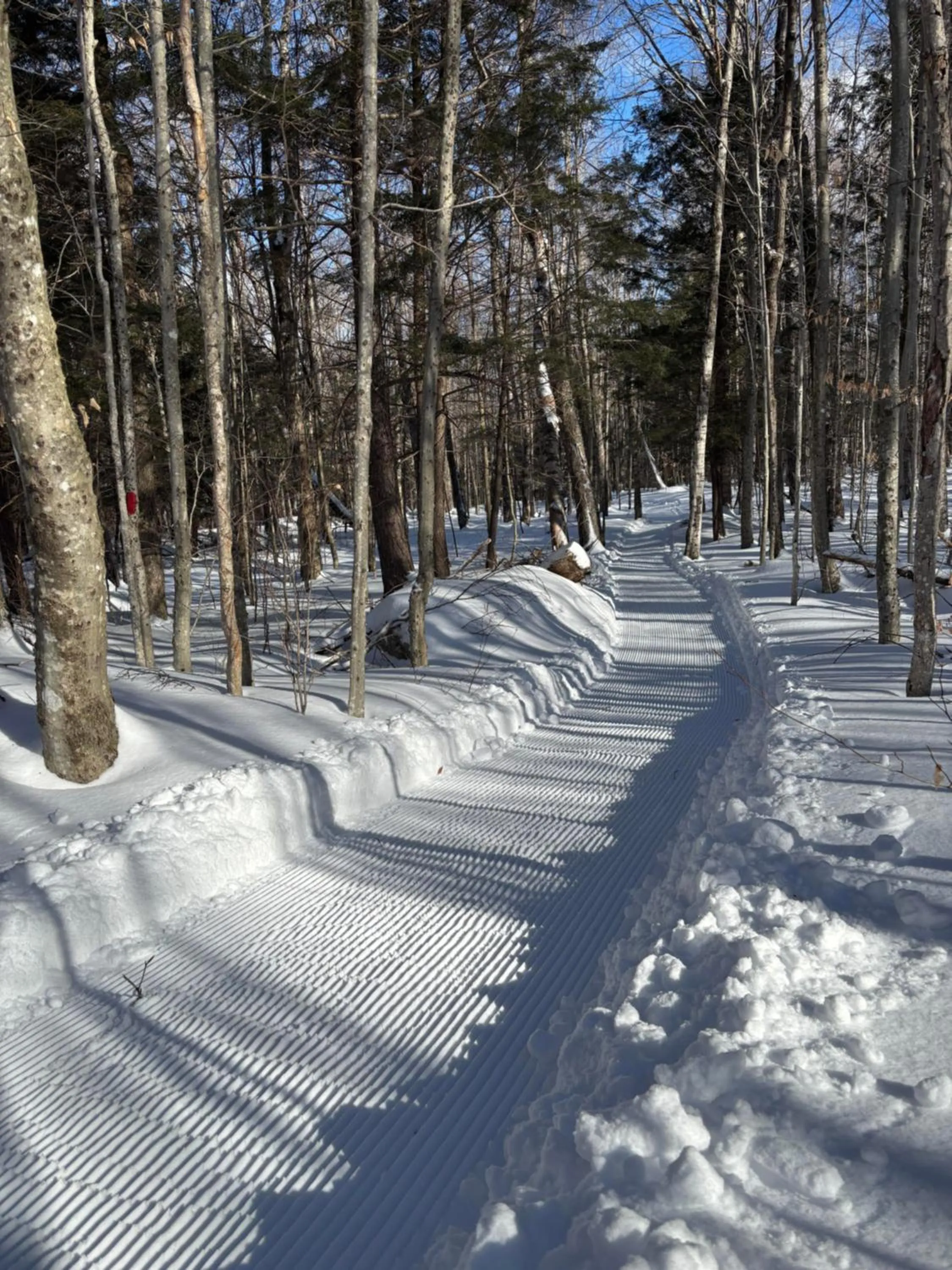 Skiing in Franconia Inn