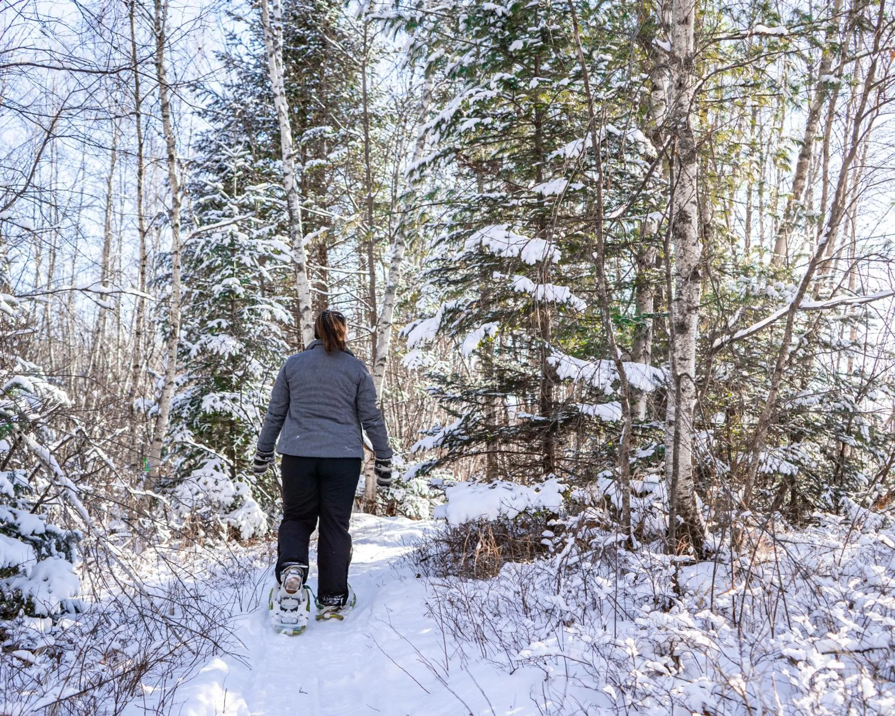 Hiking in Franconia Inn