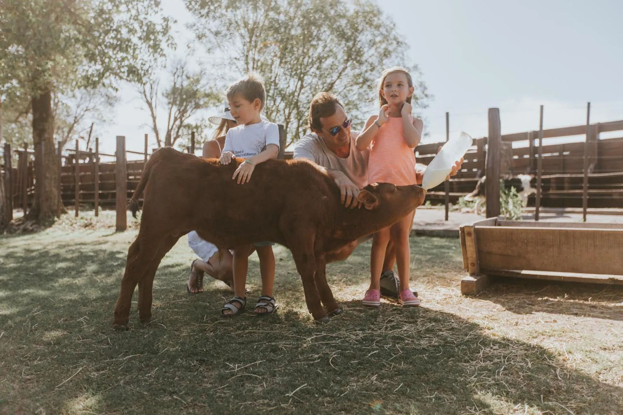Activities in El Colibri - Relais & Châteaux
